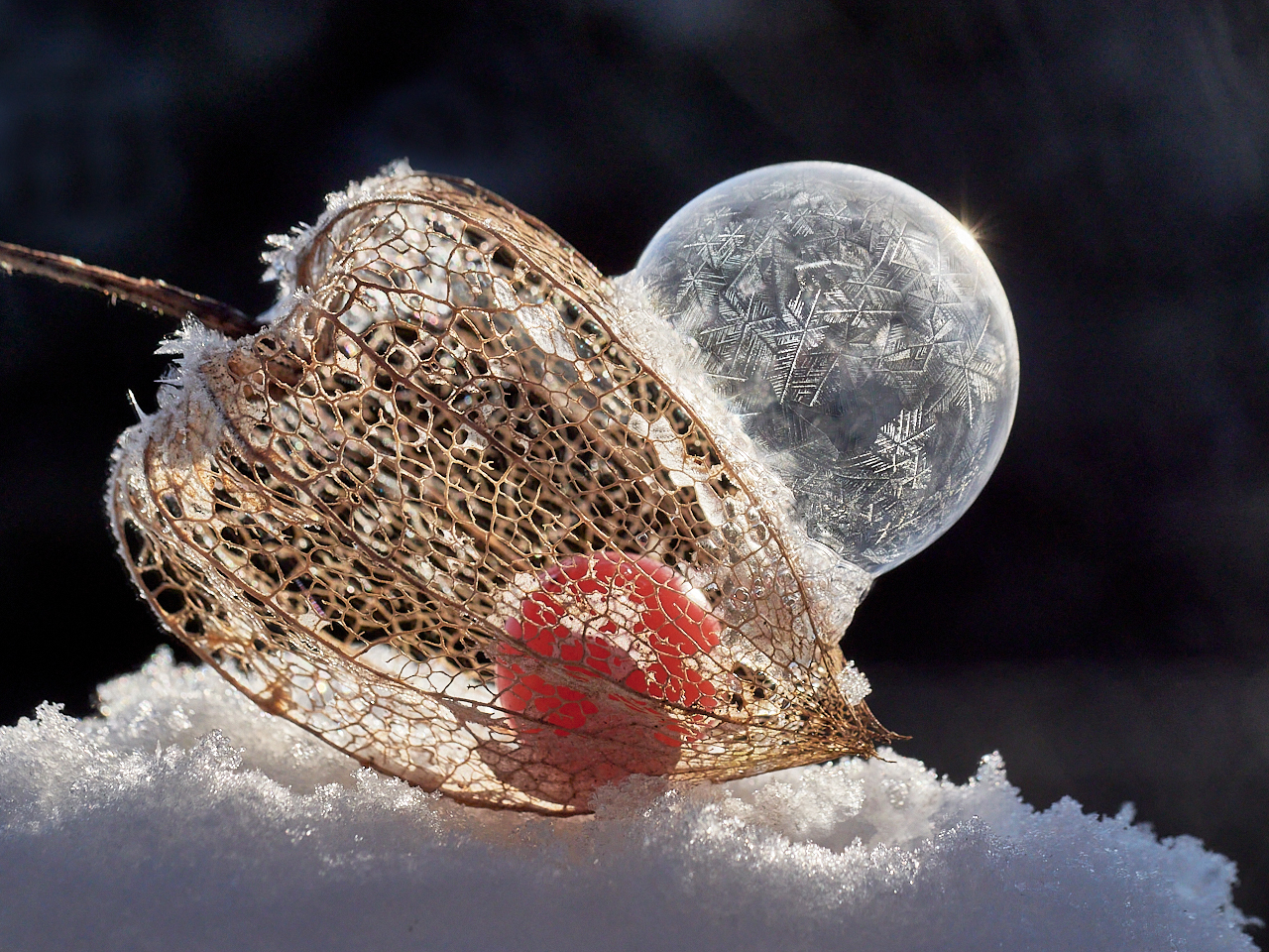 Seifenblase auf Physalis