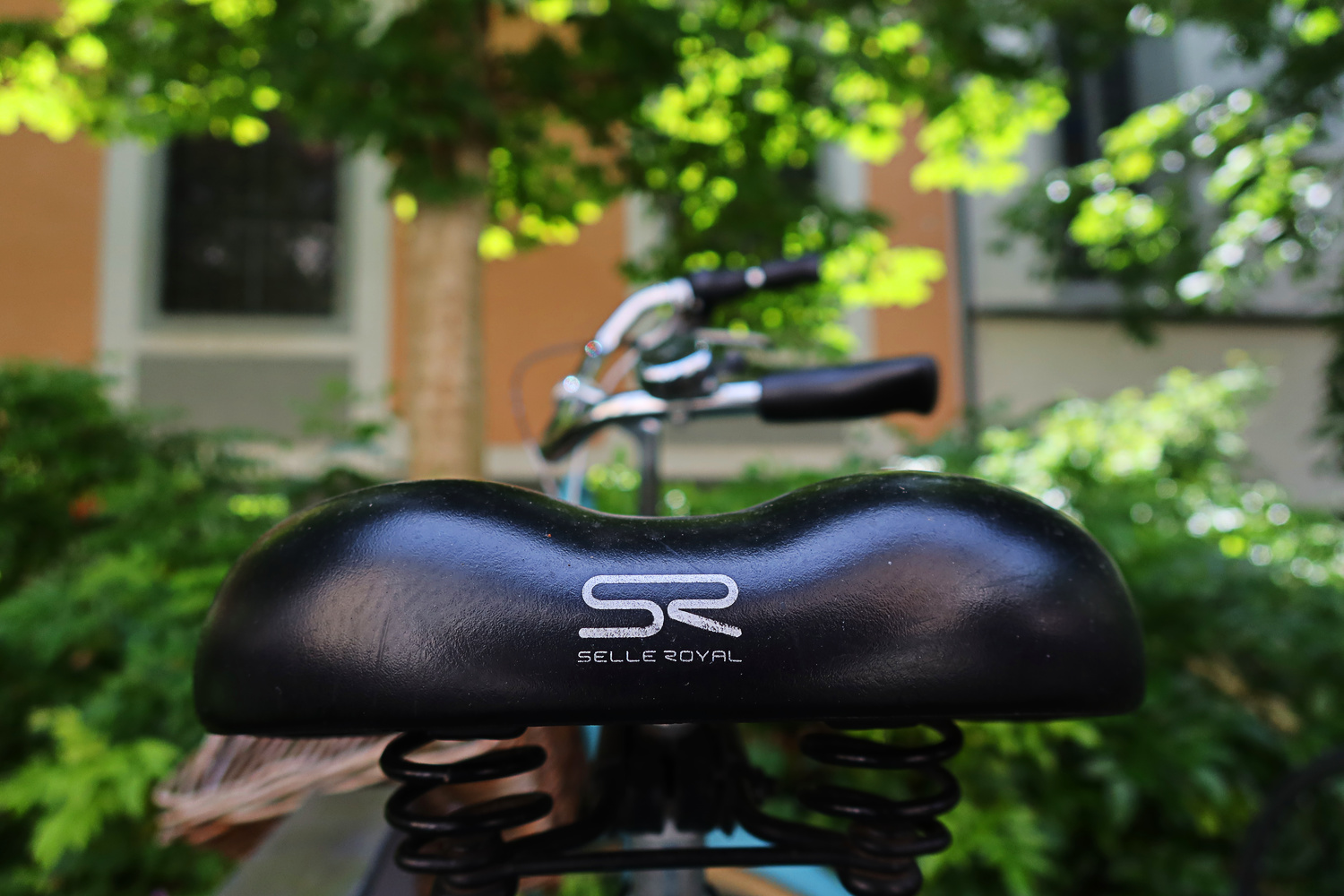 Selle royale