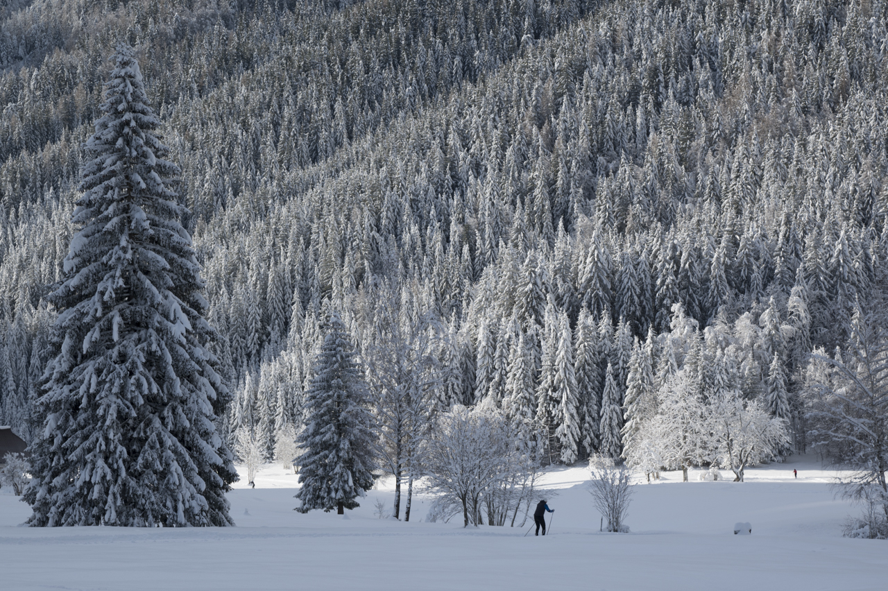 Ski Langlauf.jpg