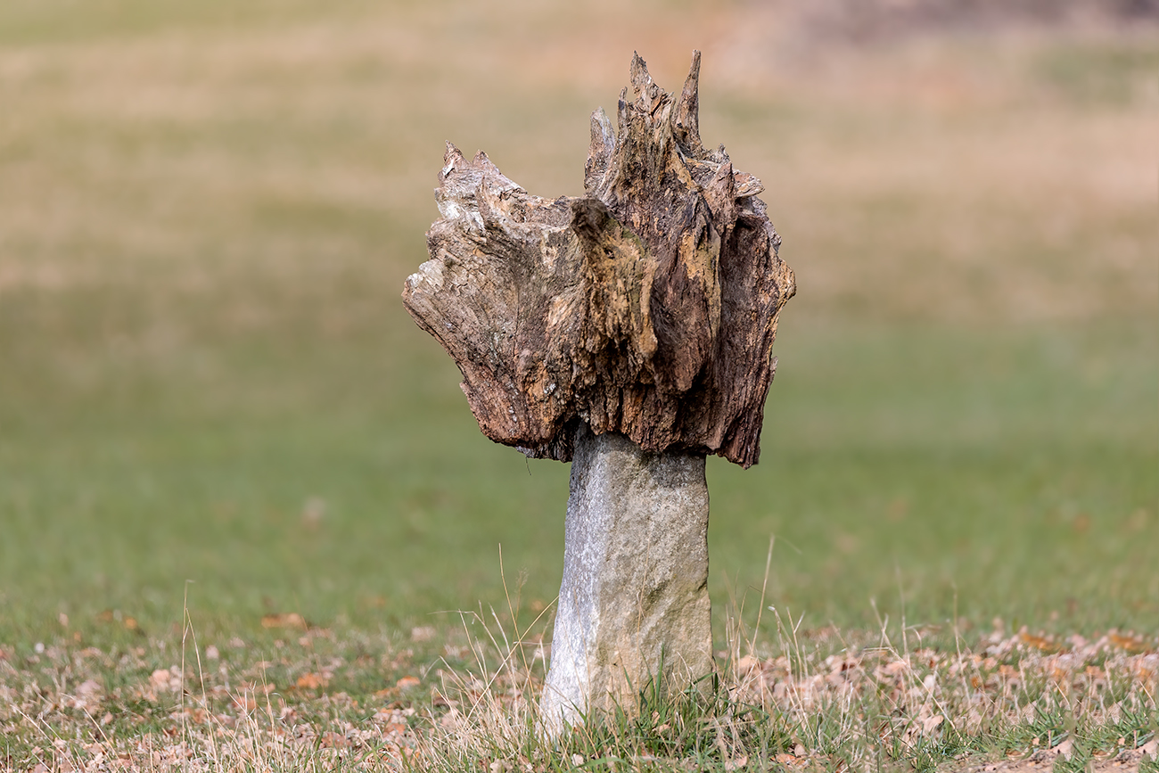 Skulptur