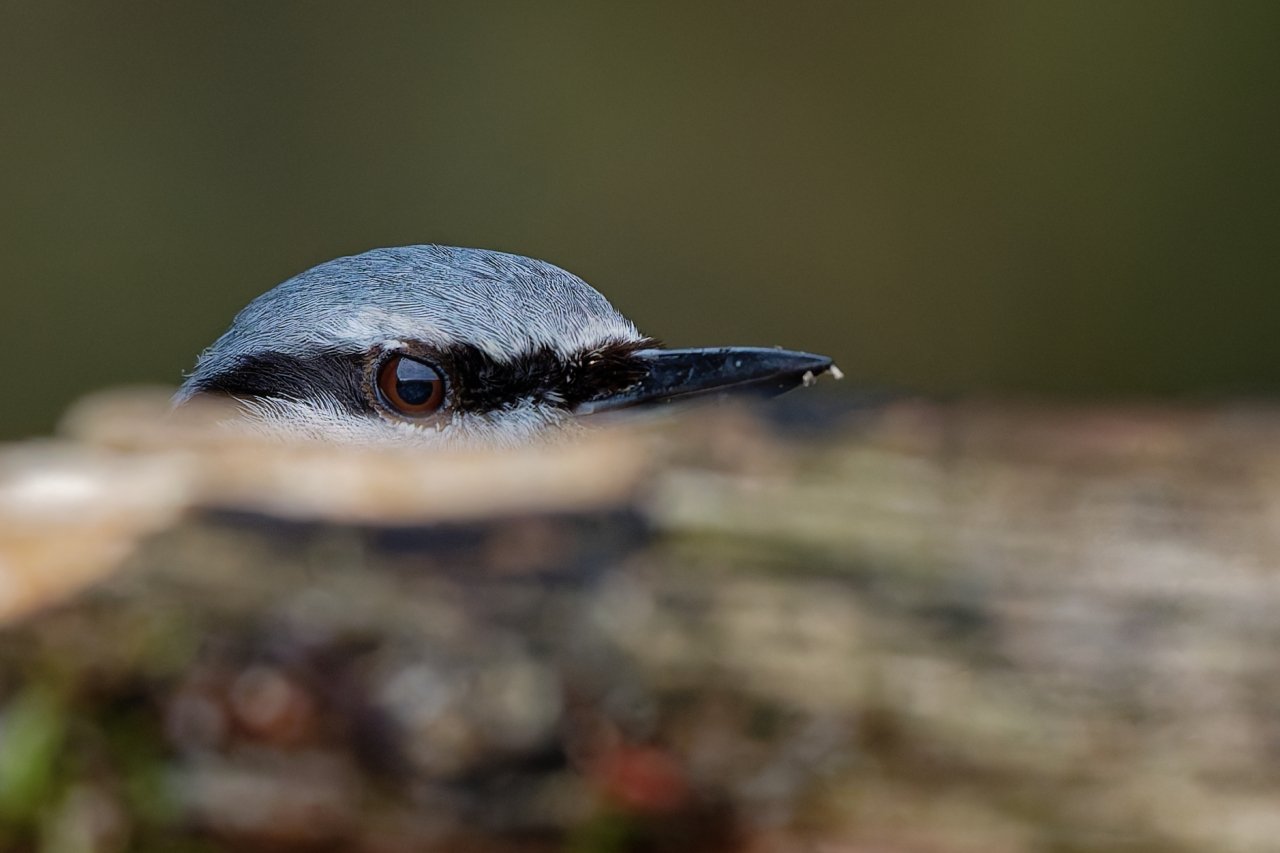 So gerade eben.......