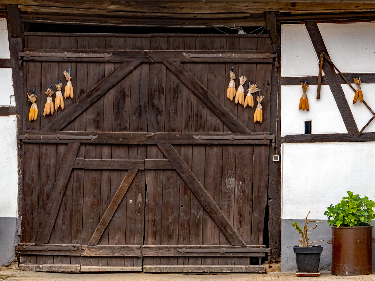 So groß wie ein Scheunentor | d-pixx.de Forum