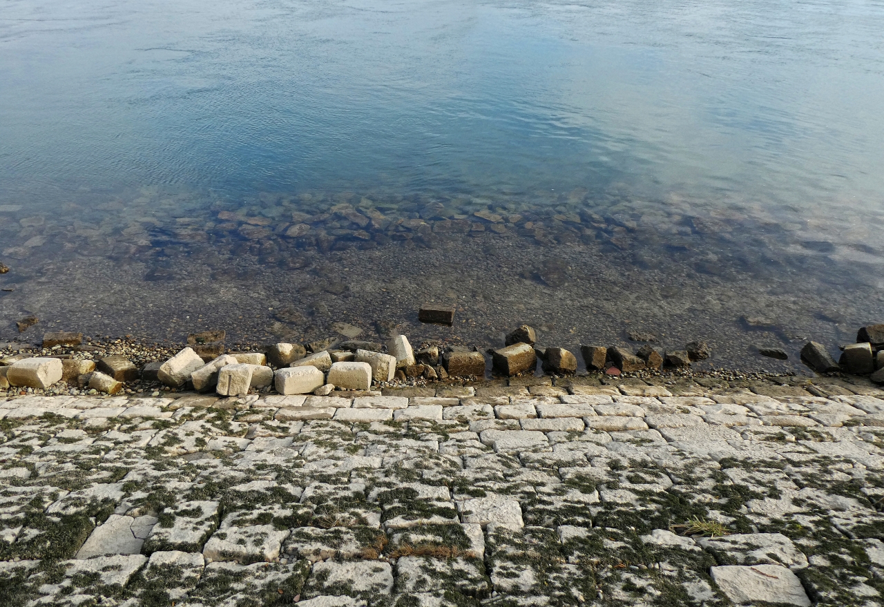 So schlammig die Schlute - so rein der Rhein