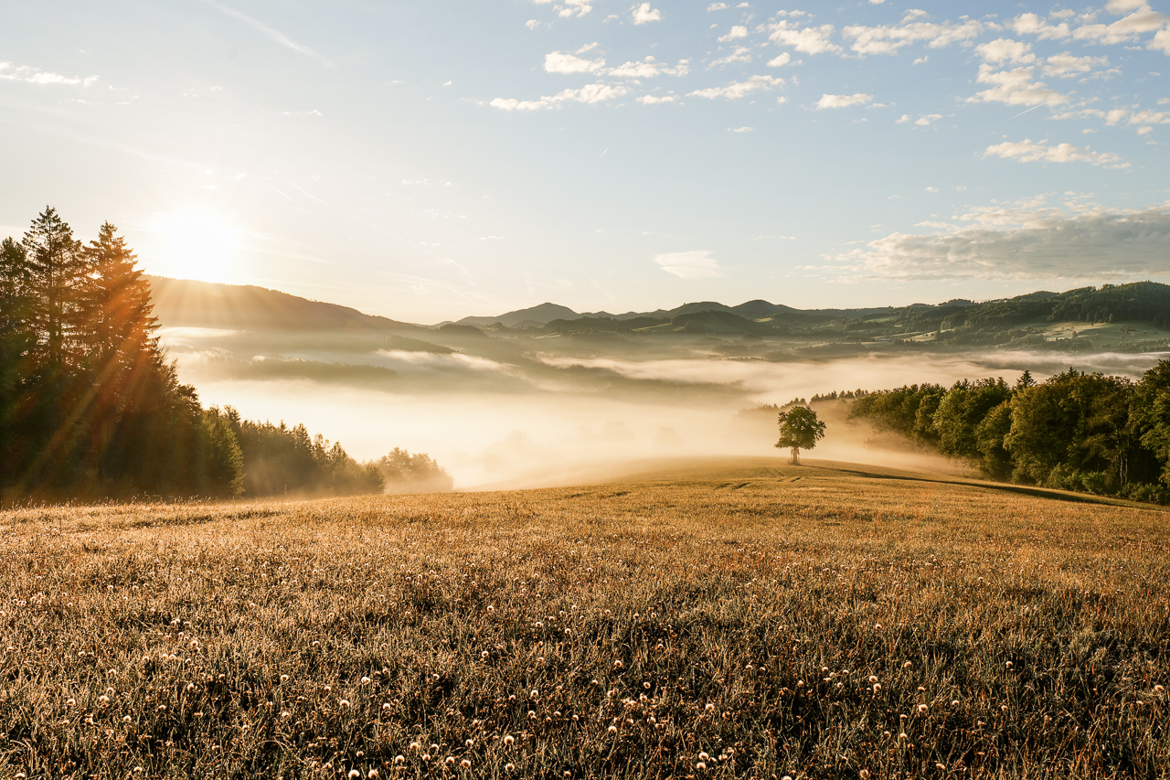 Solitär