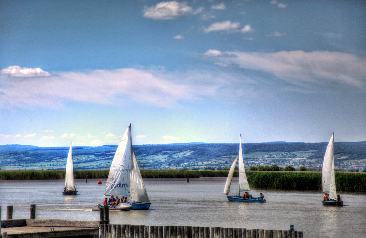 Sommer am See (3)