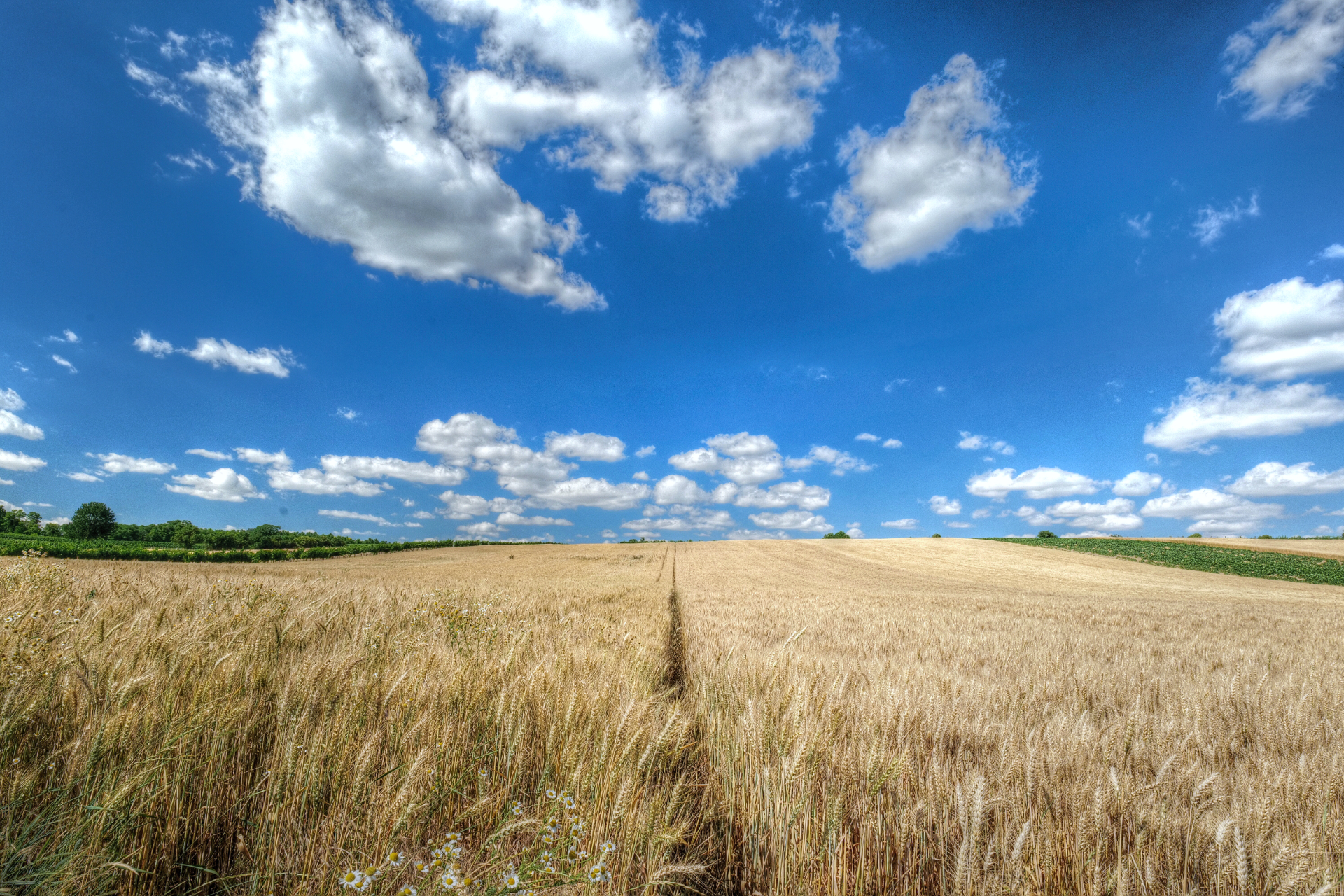Sommer im Weinviertel