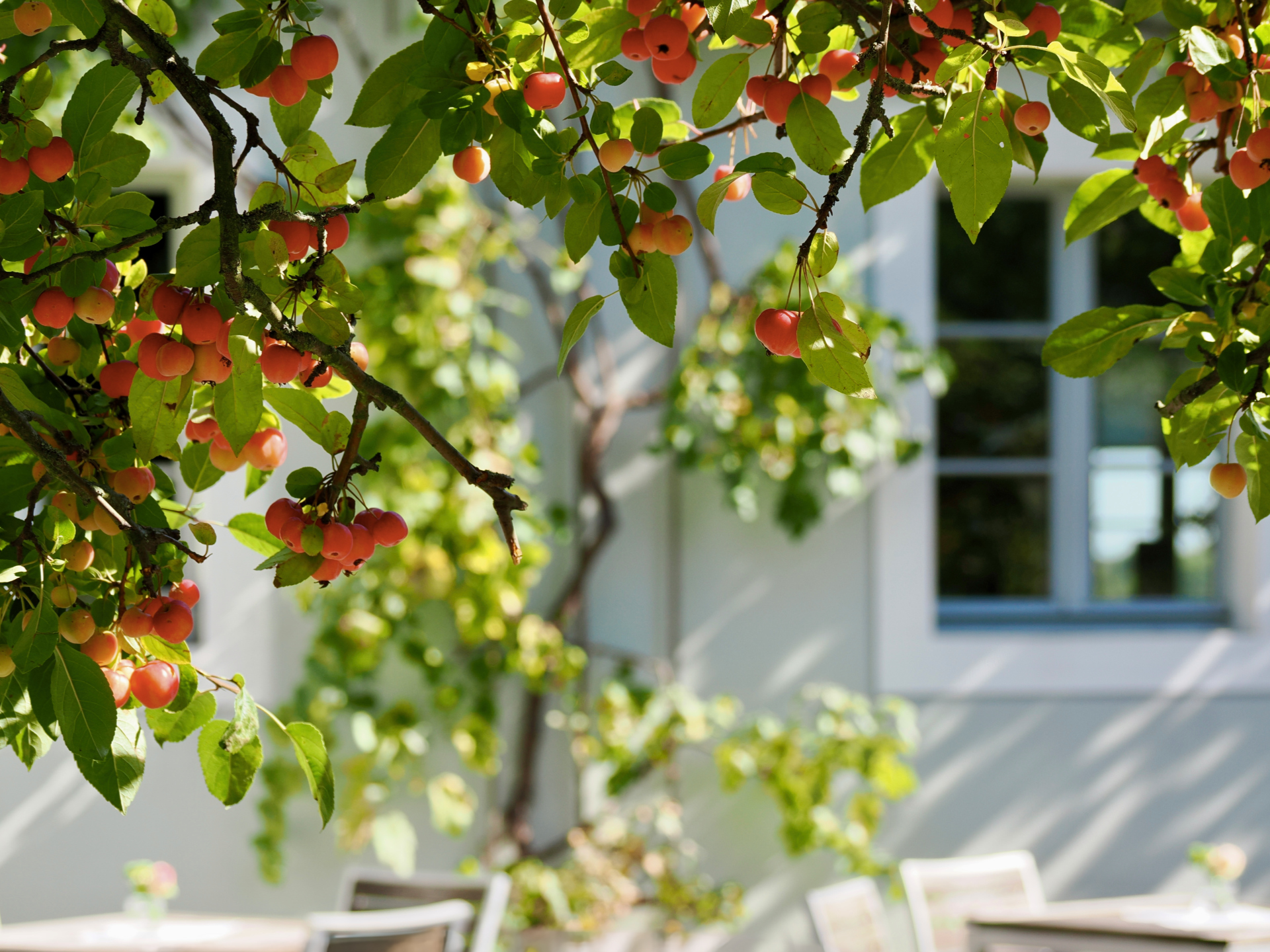 Sommerausklang