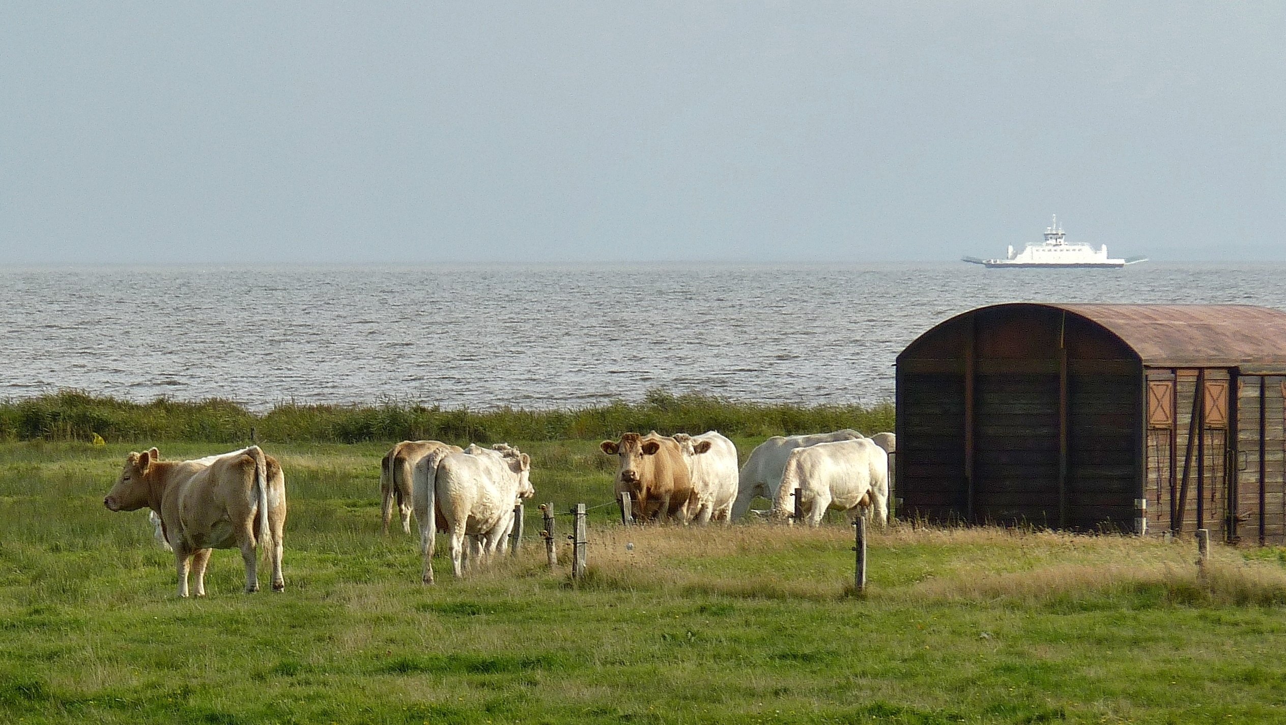 Sommerfrische am Meer