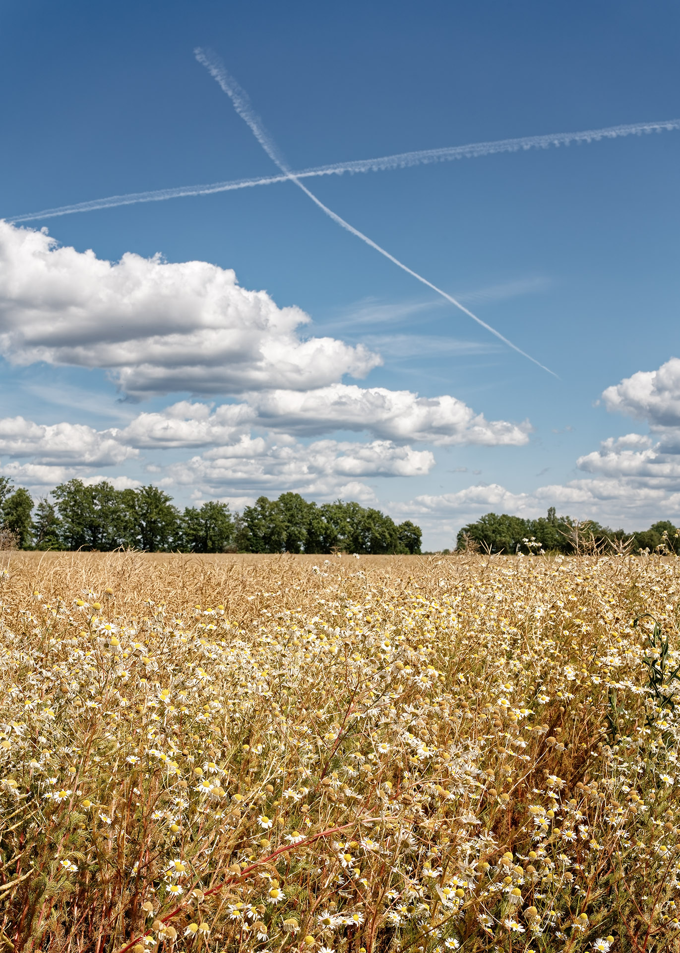 Sommerimpression
