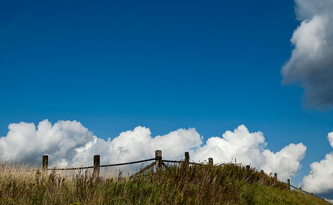 Sommerlandschaft