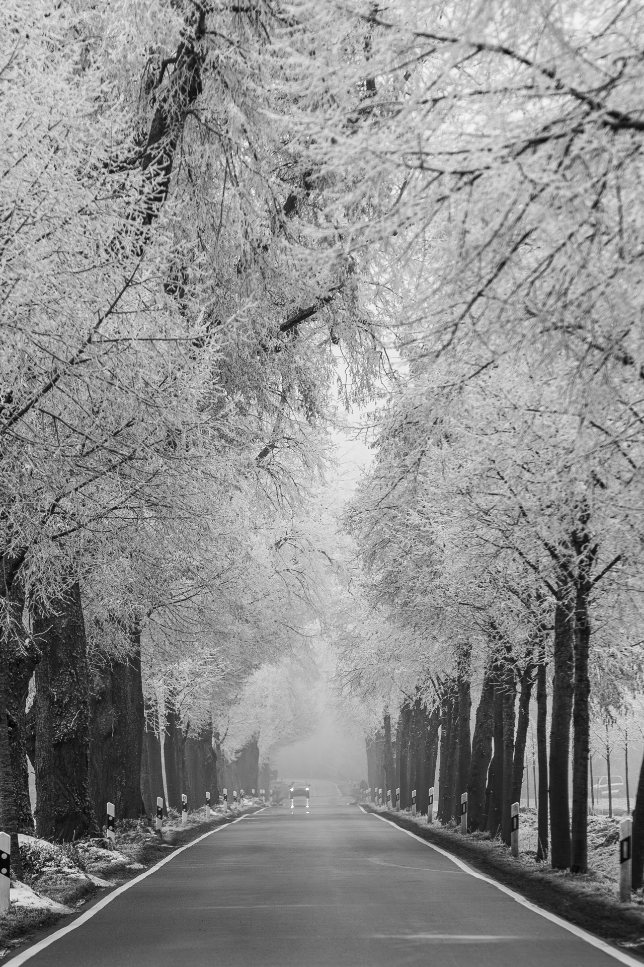 Sonne ist gerade selten