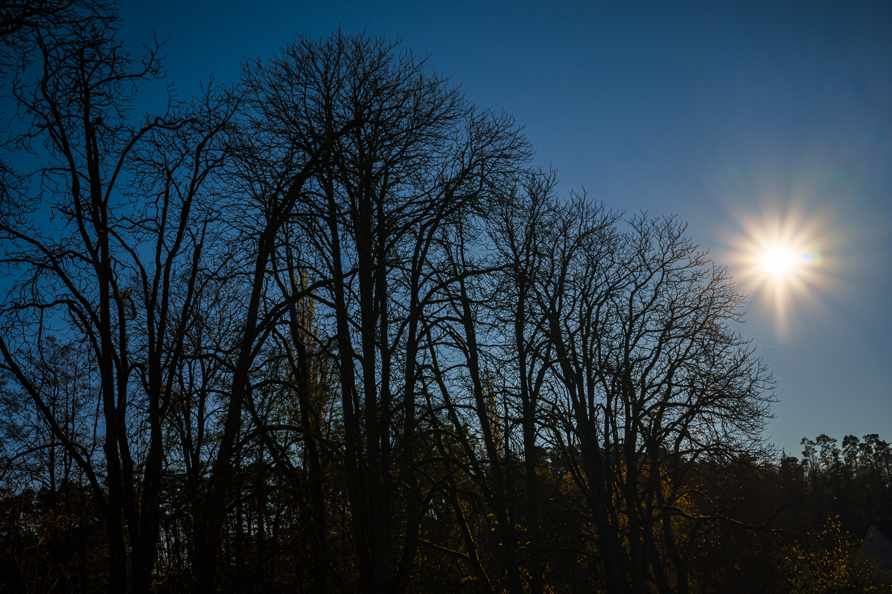 Sonne küßt Kahl
