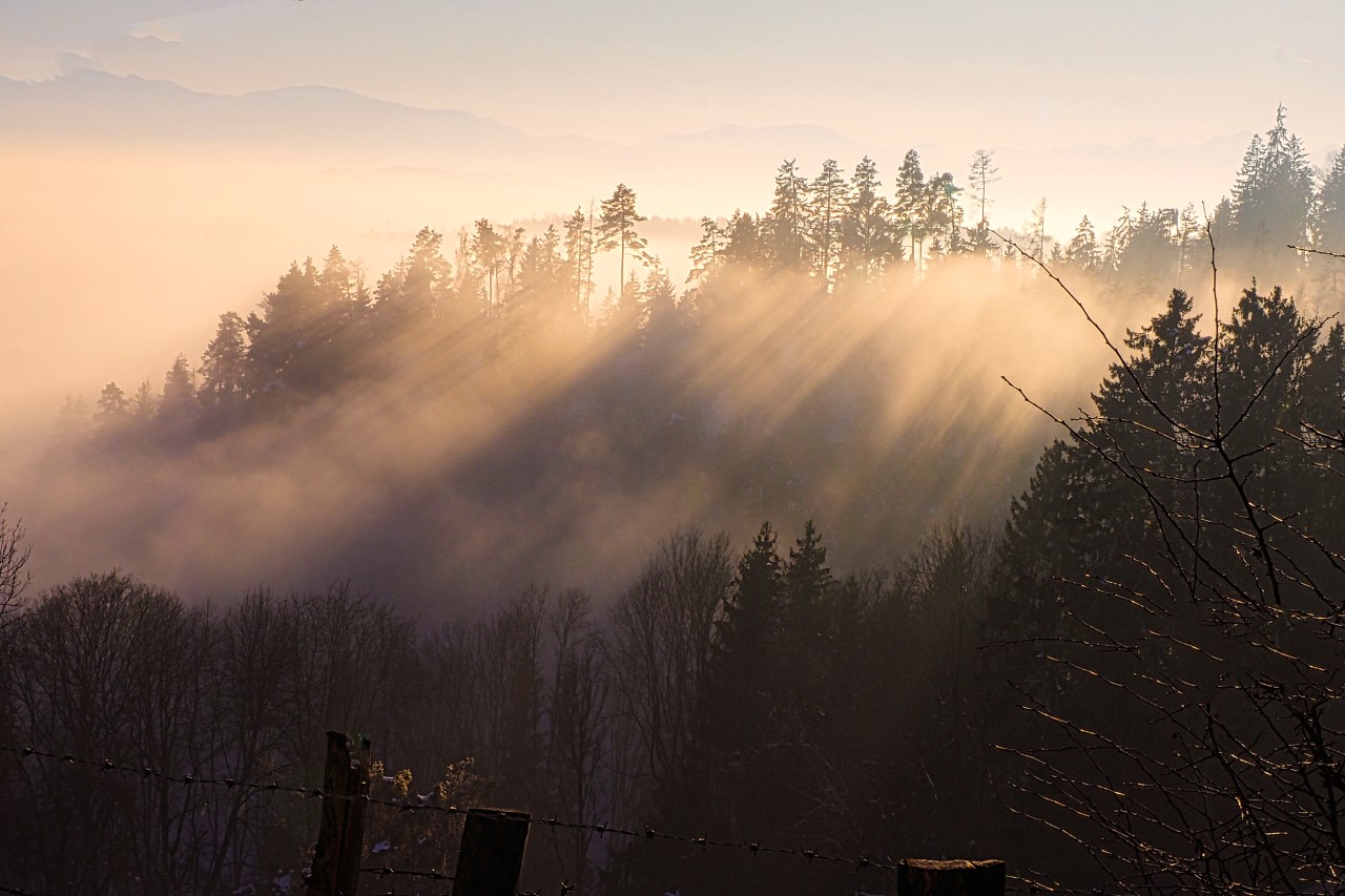 Sonne und Nebel