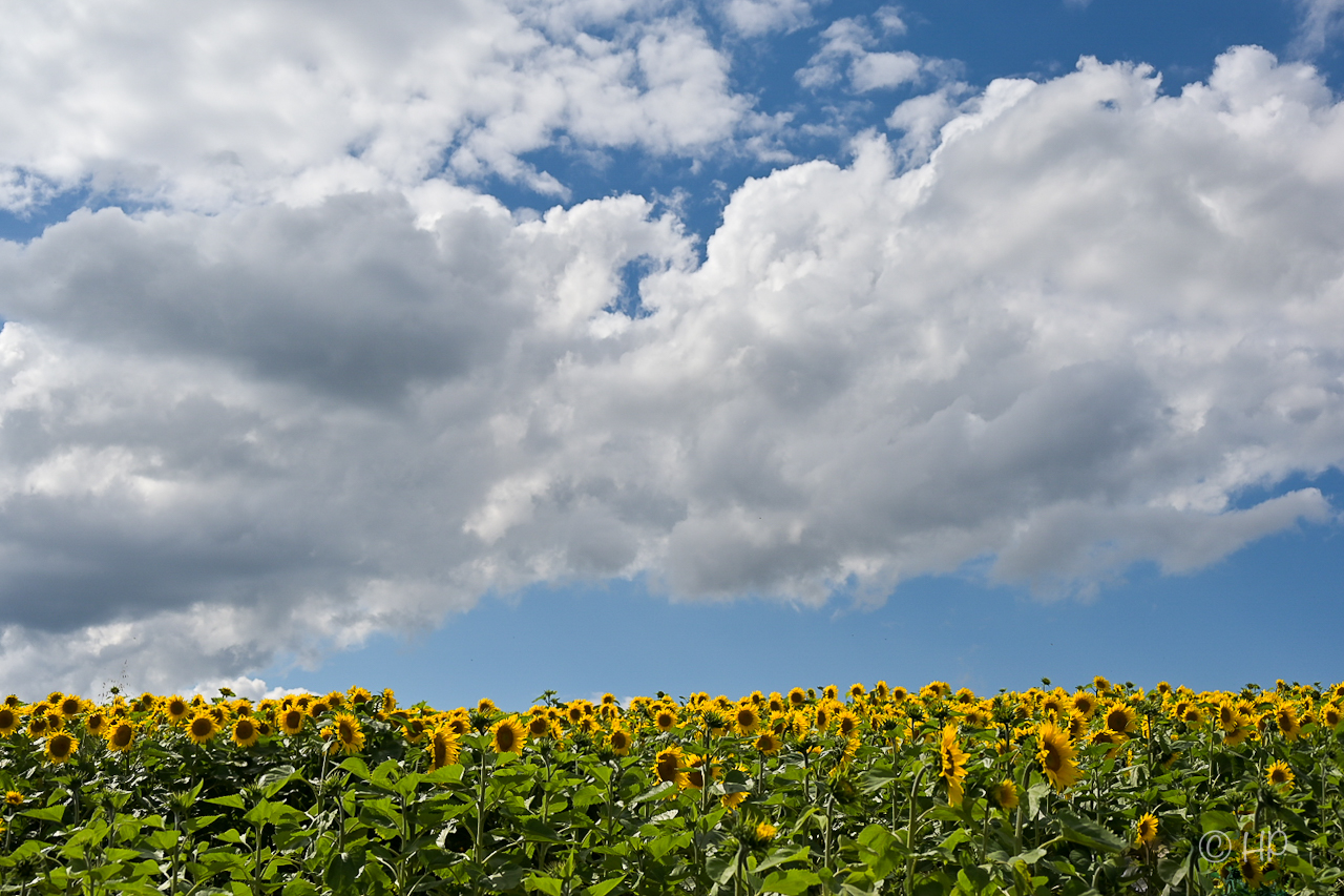 Sonne von unten