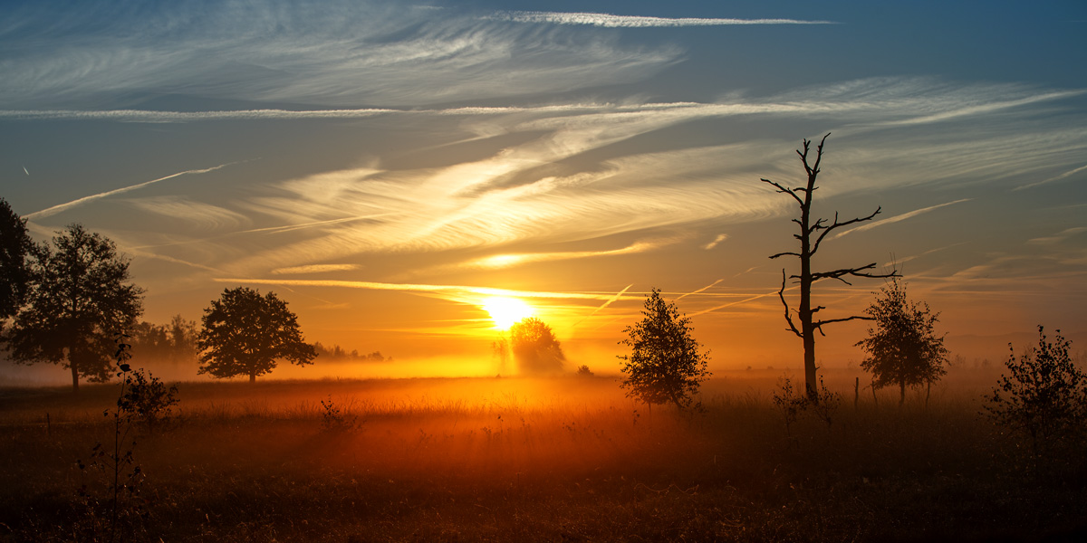 Sonnenaufgang im Gehlenbecker Moor