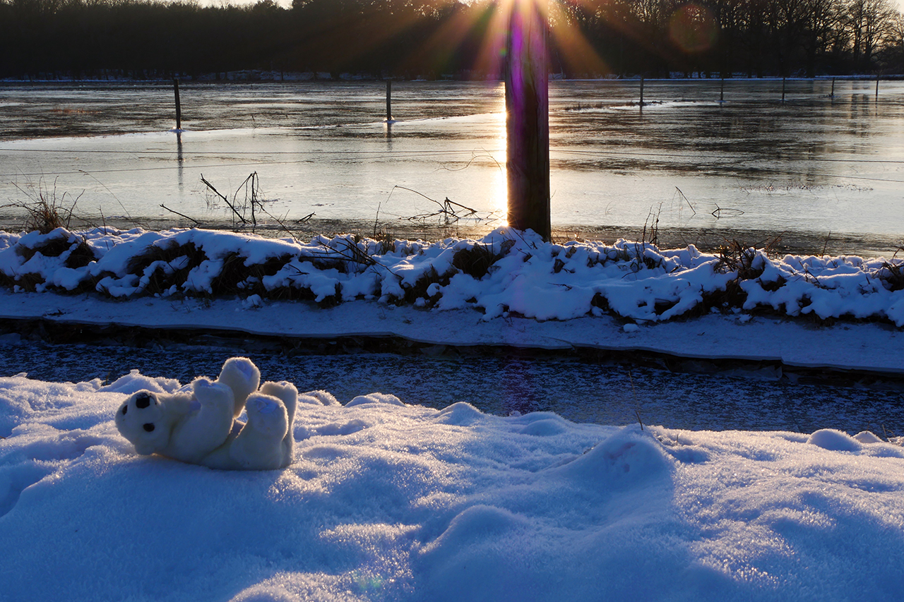 Sonnenbad bei -8°C