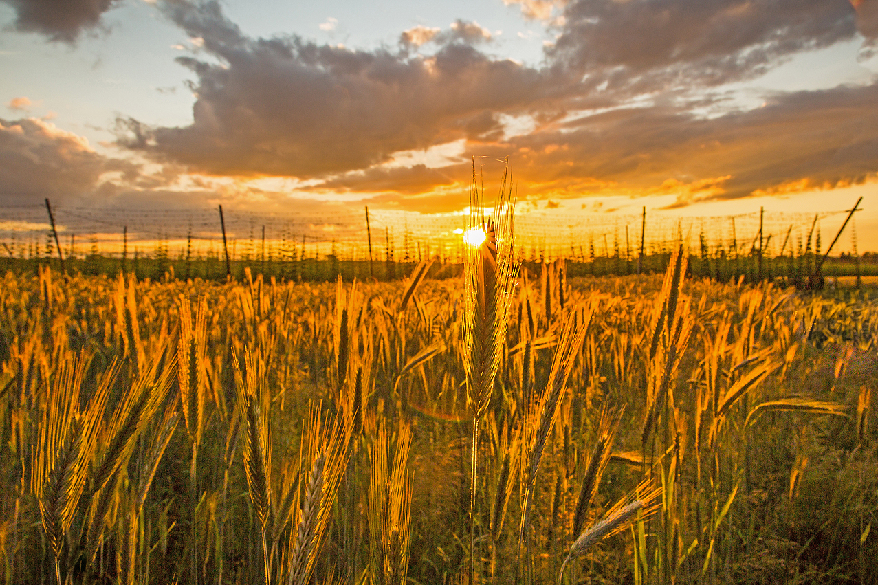 Sonnenuntergang farbig