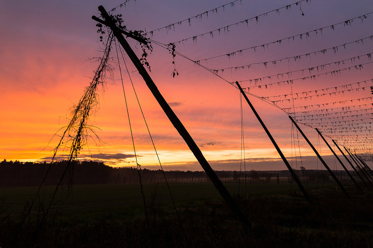 Sonnenuntergang ohne Glamour