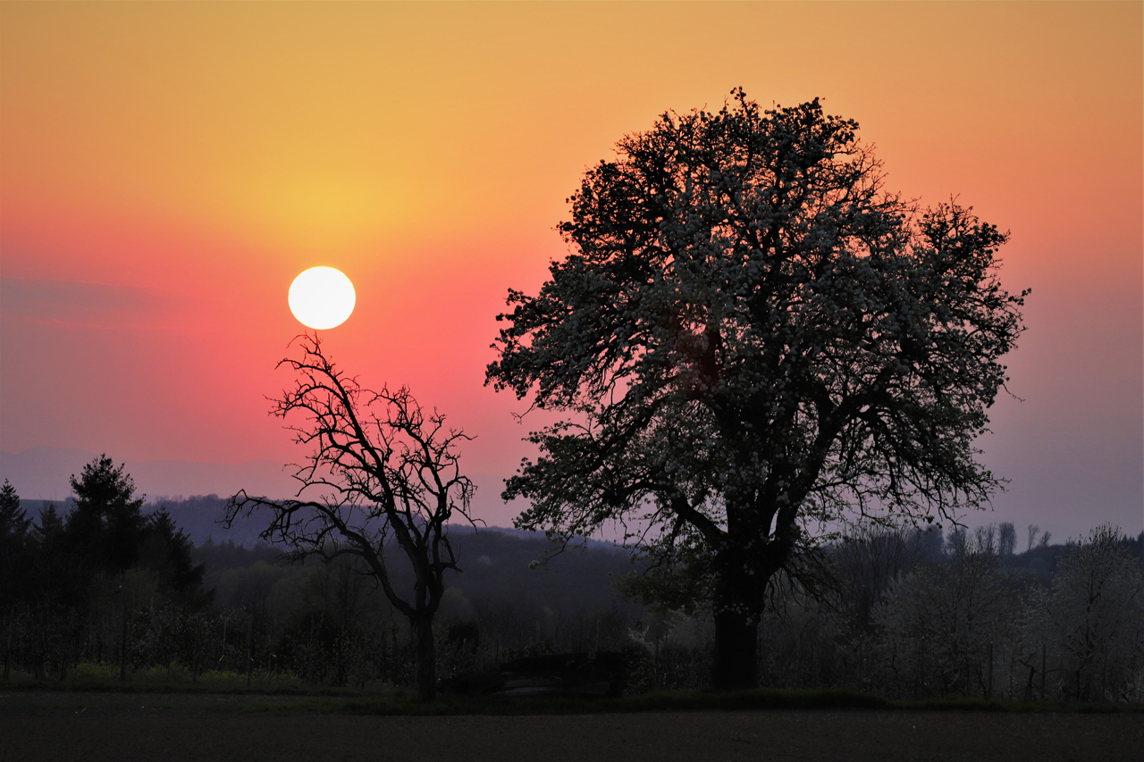 Sonnenuntergang