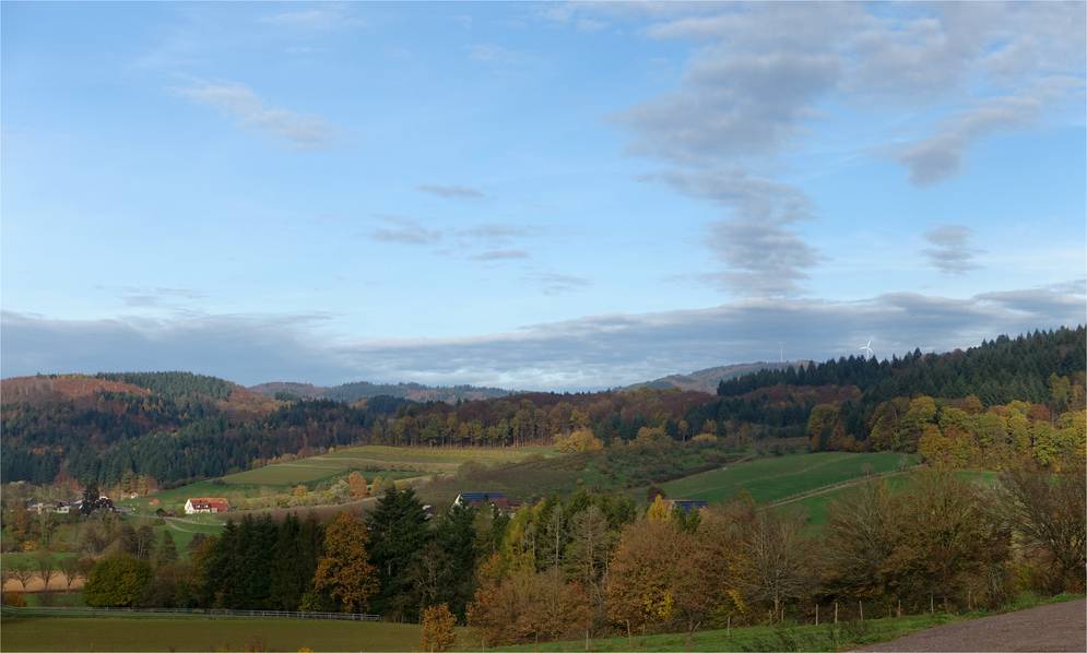 Spätherbst im Schwarzwald