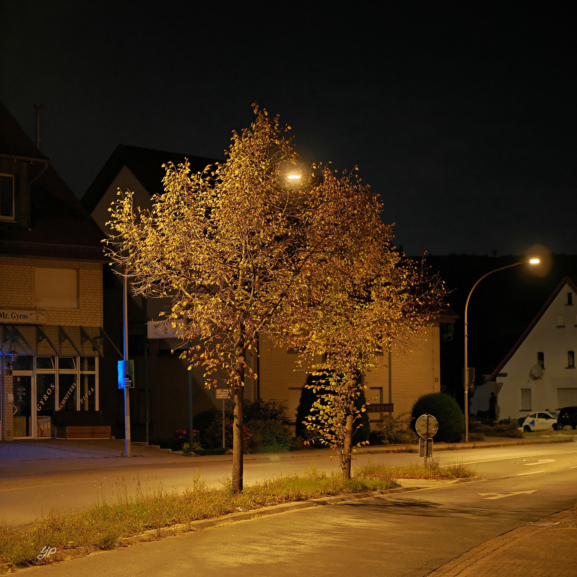 Spätsommer-Herbst
