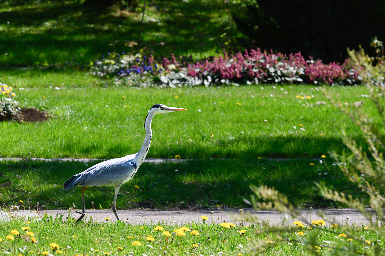 Spaziergang im Park