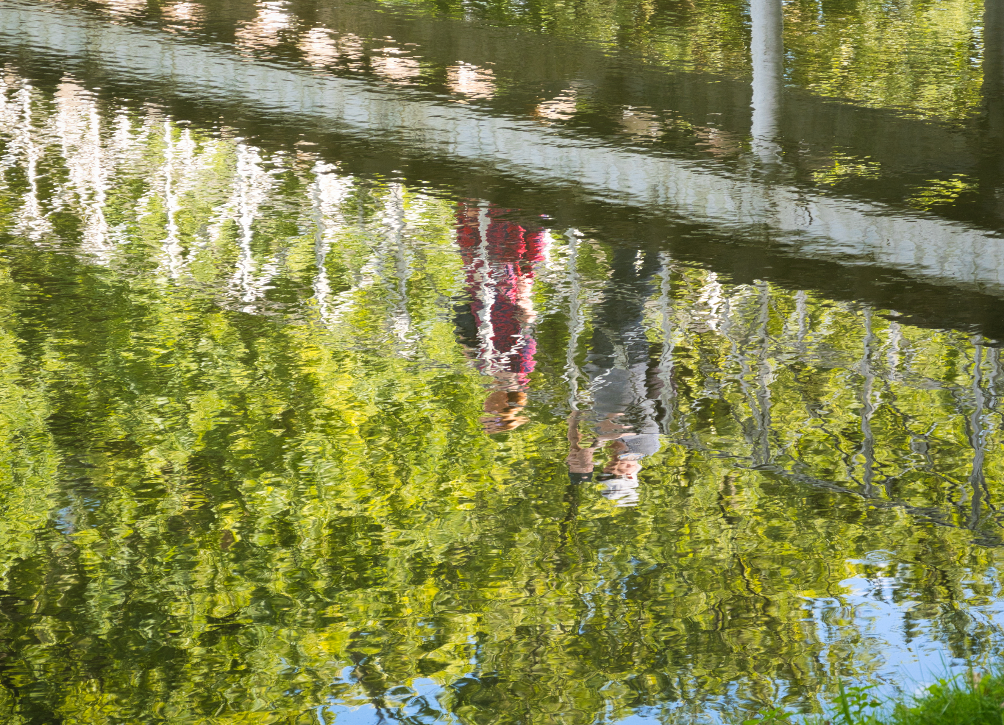 Spaziergang im Park