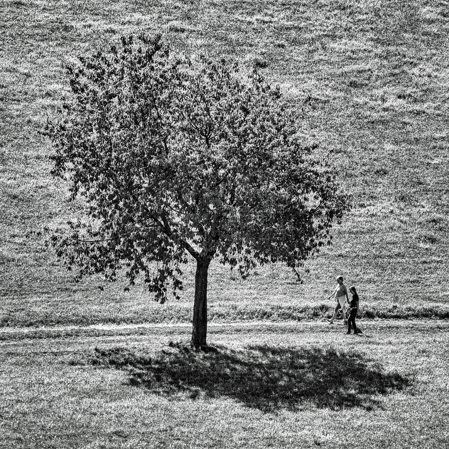 Spaziergang