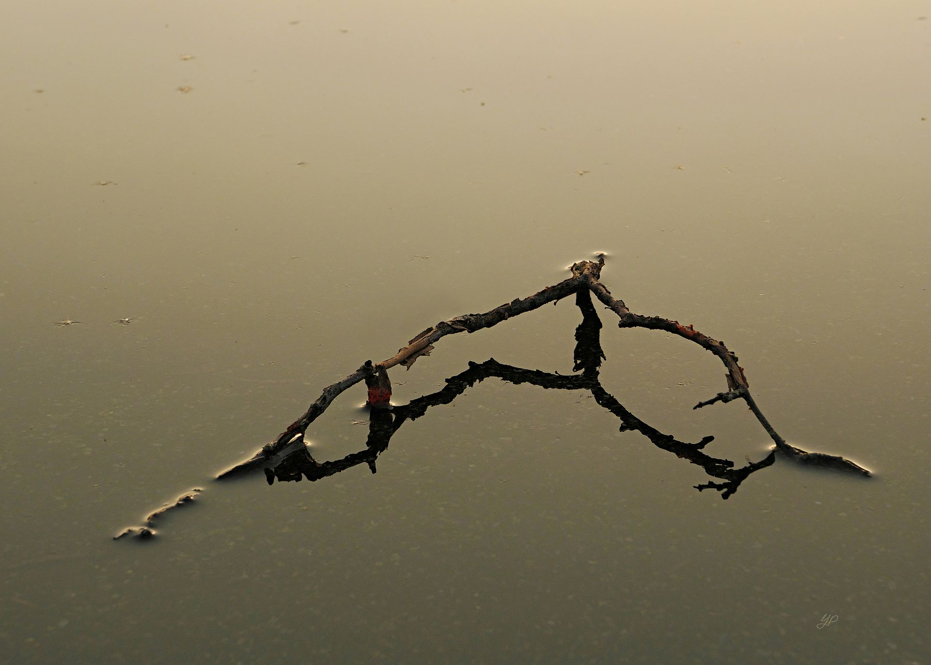 Spiegelung