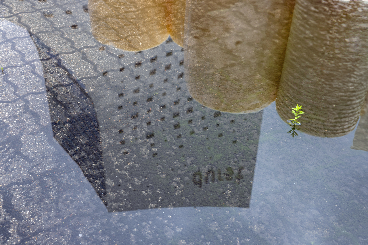 Spiegelung