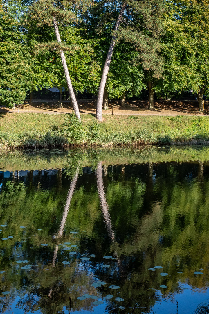 SpiegelX