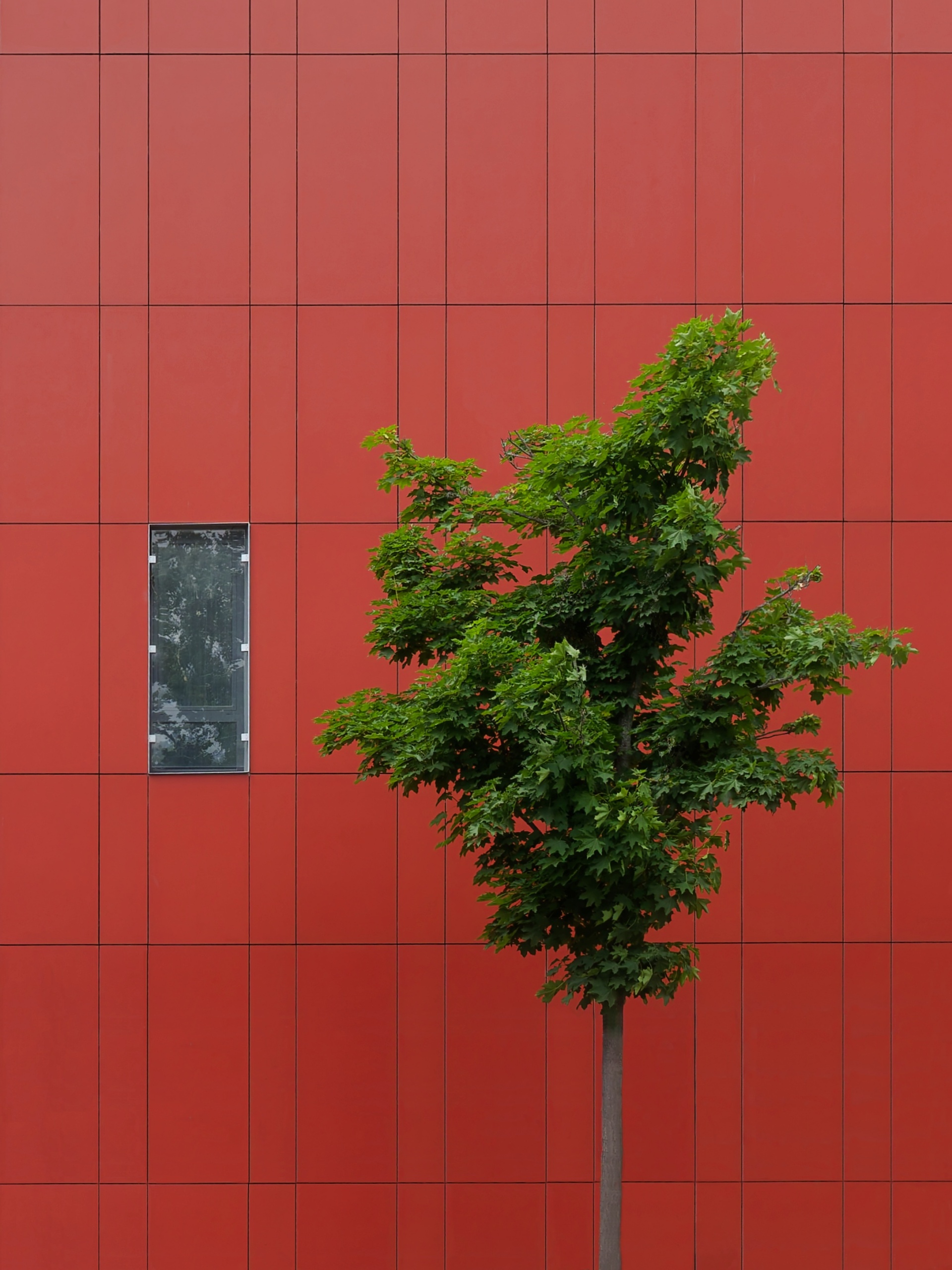 Spieglein, Spieglein an der Wand