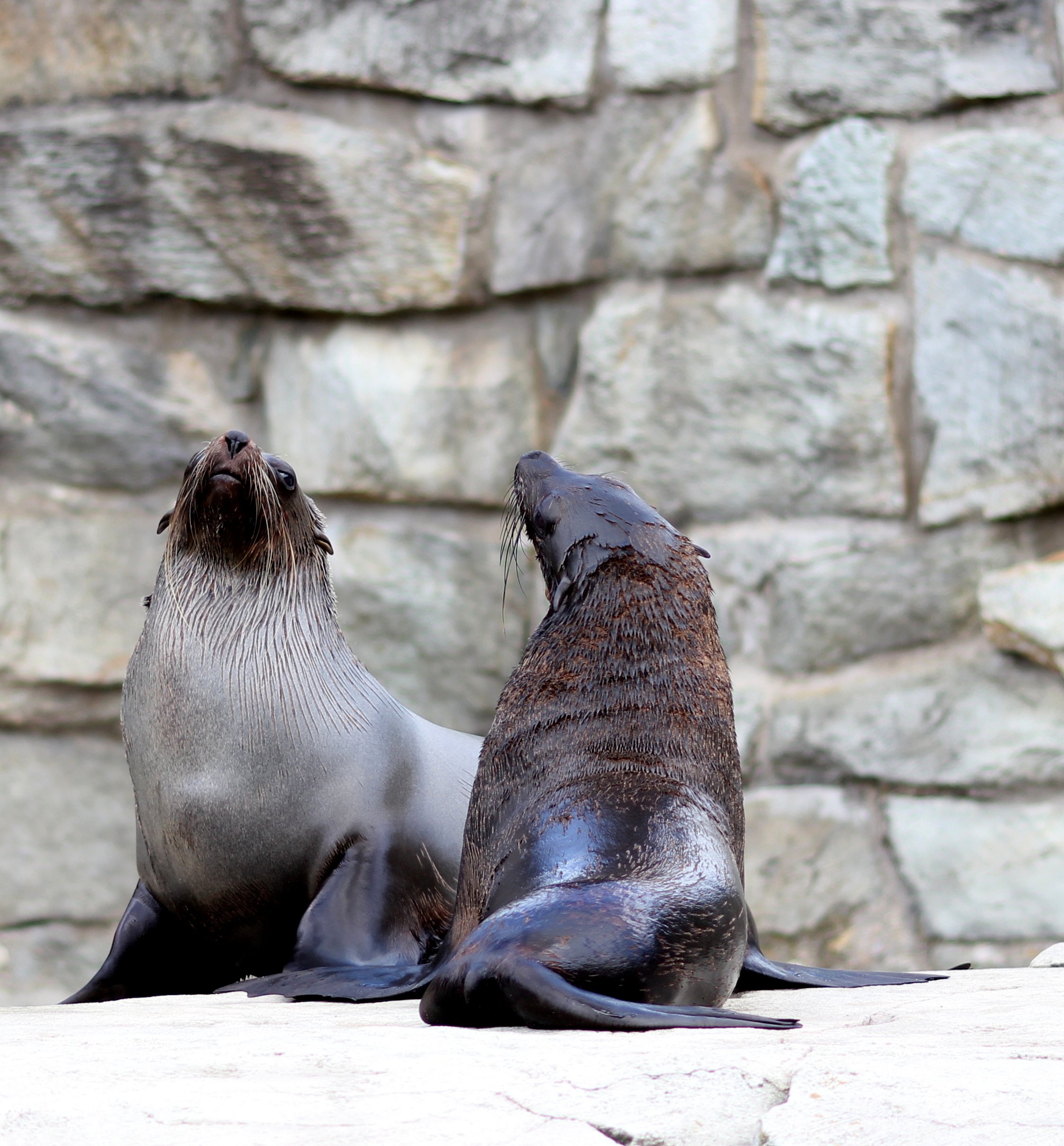 Spiel nicht die Beleidigte!