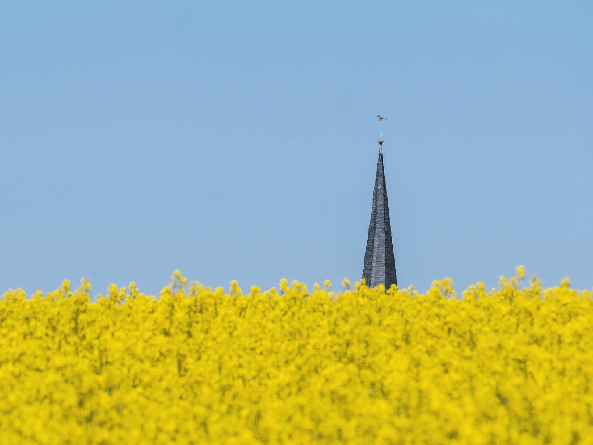 Spitzenmäßig