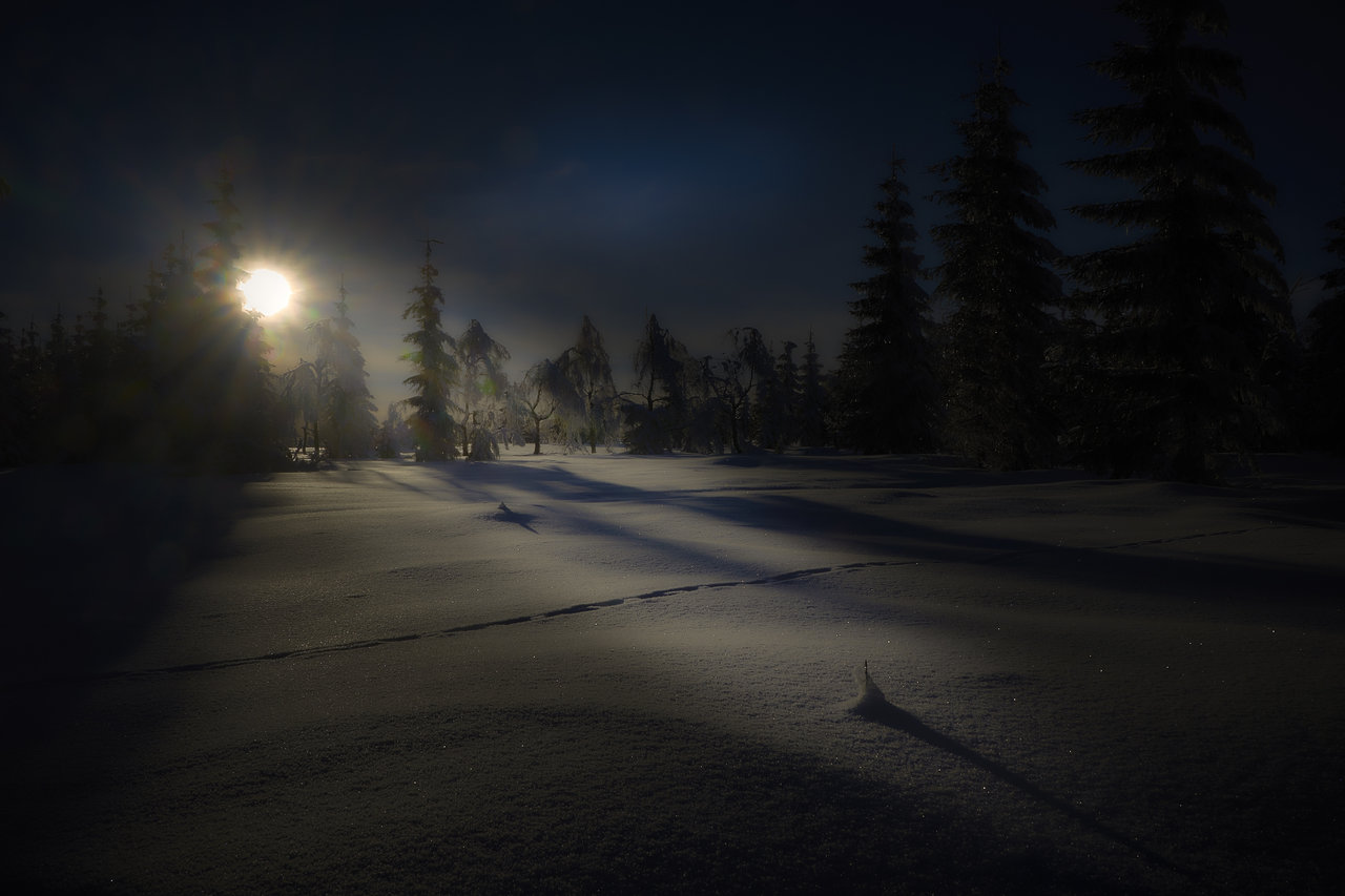 Spur am Winterabend