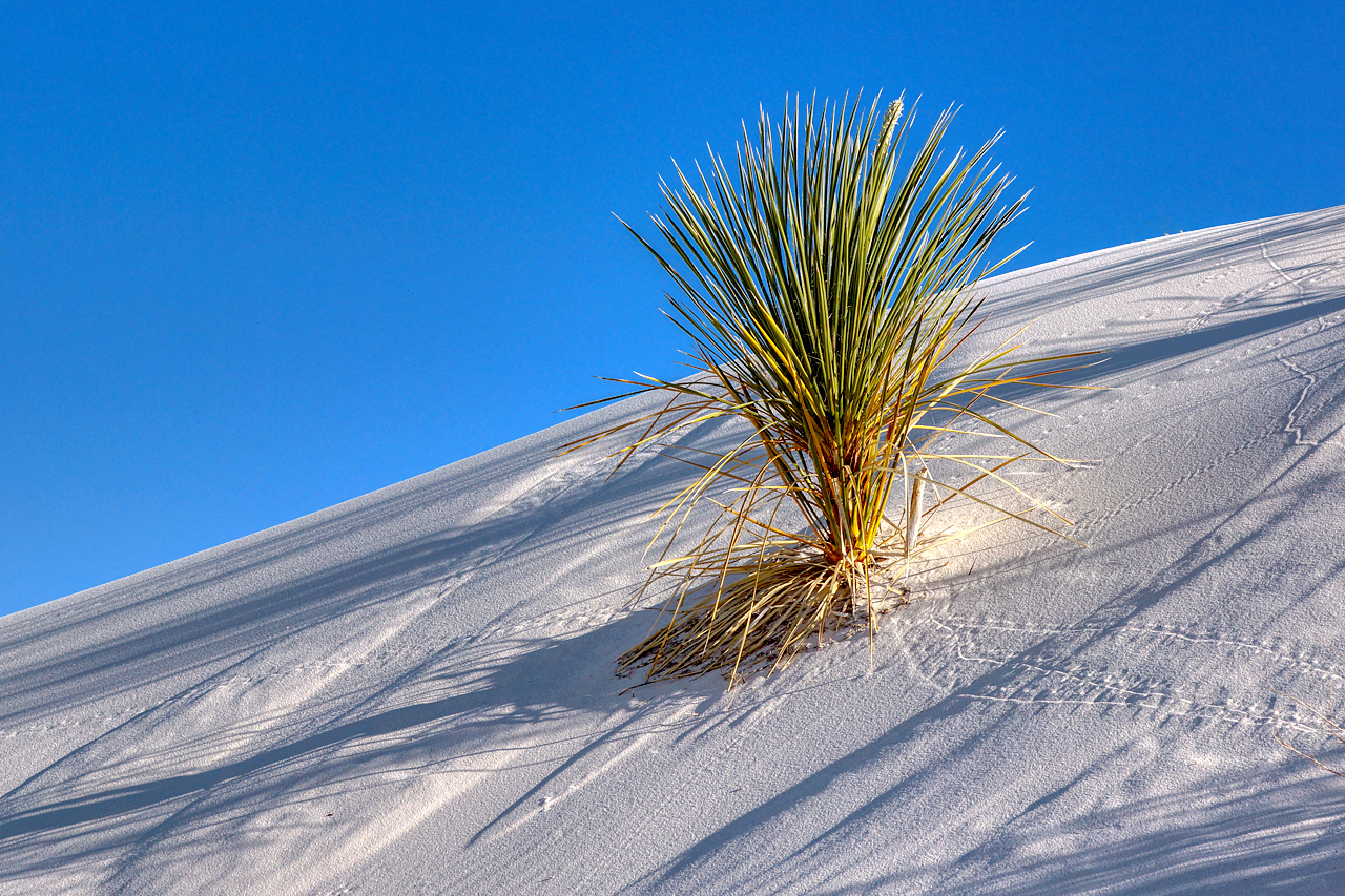 Spuren im Sand