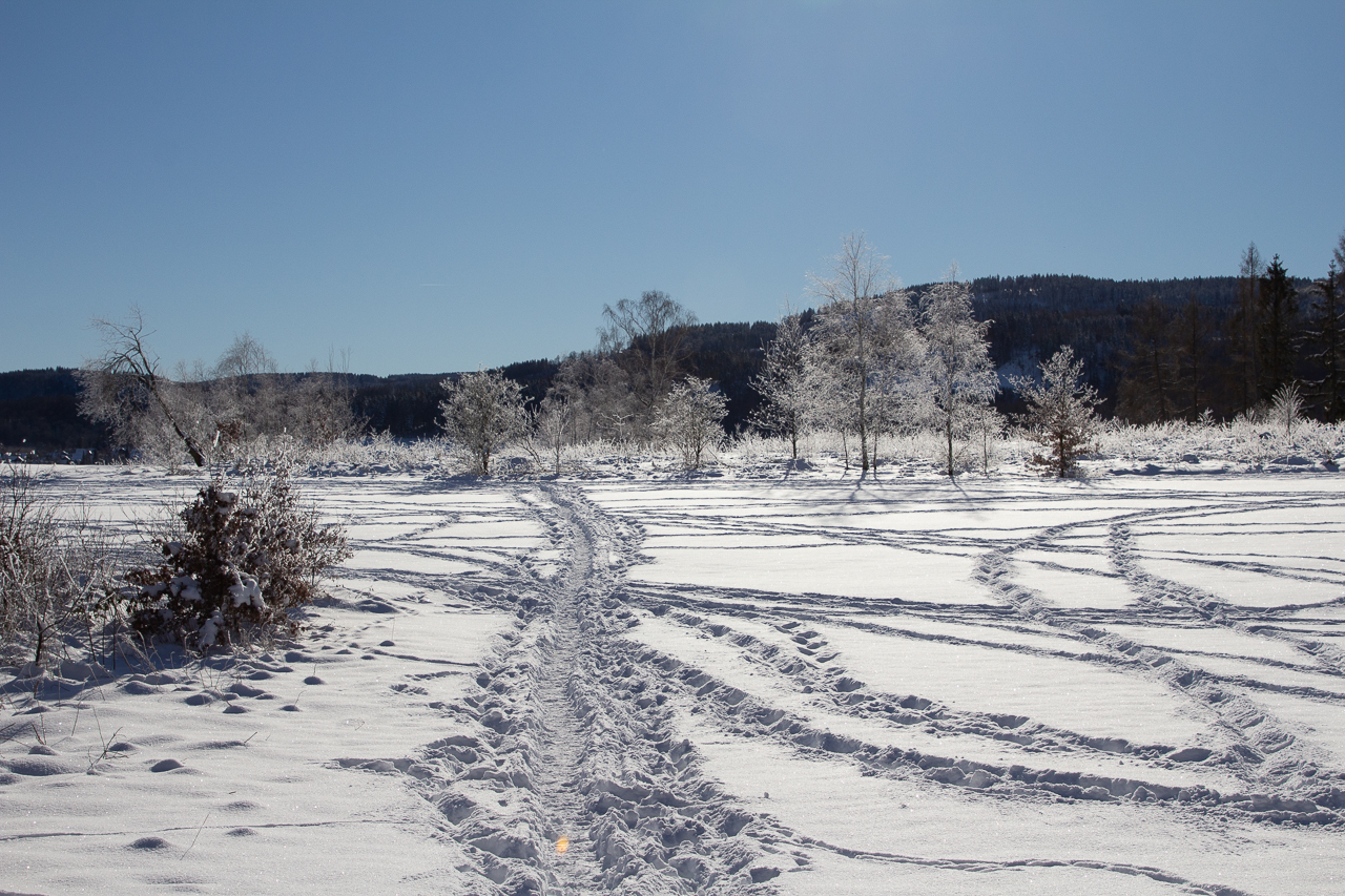 Spuren im Schnee