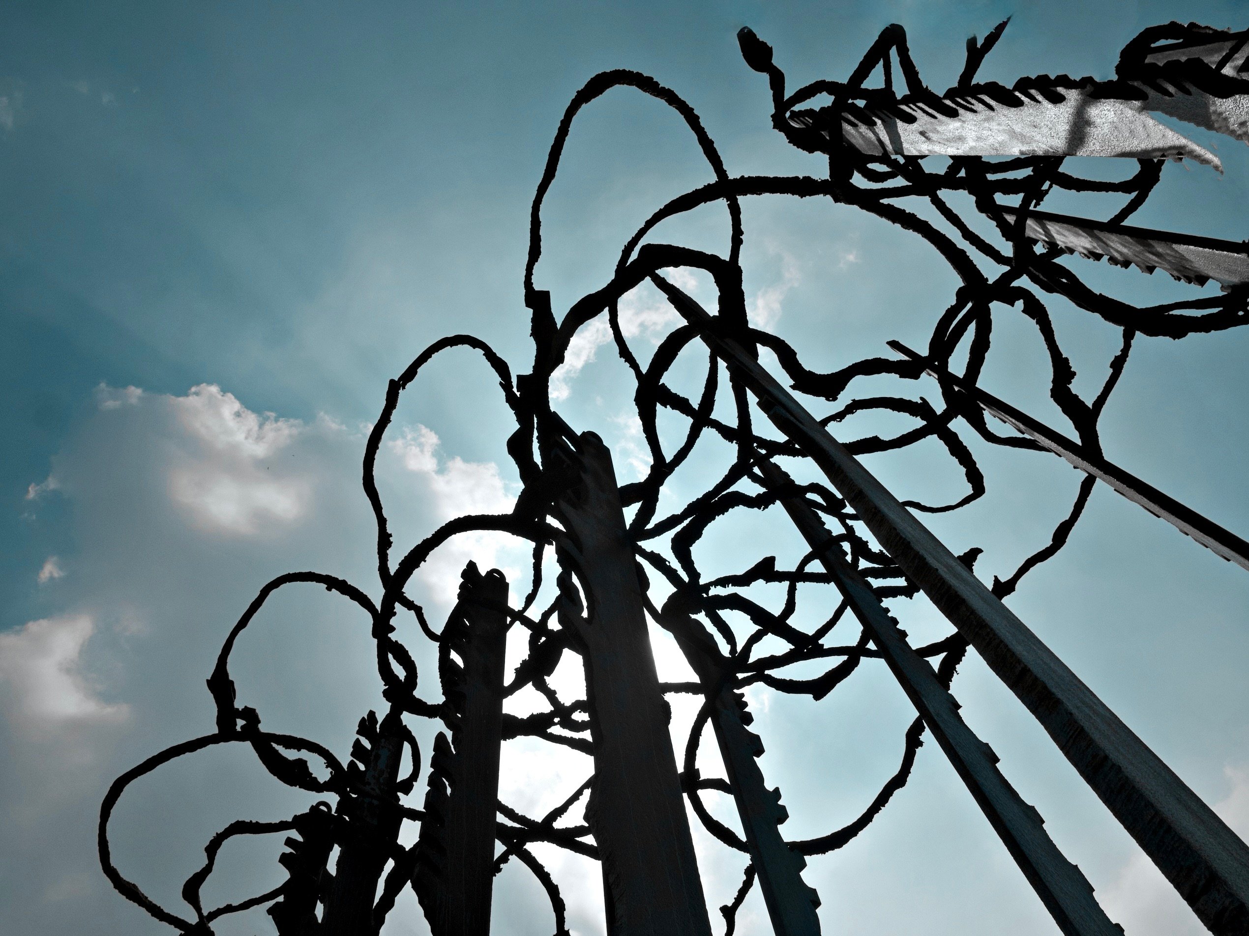 ... steile Froschperspektive 😉