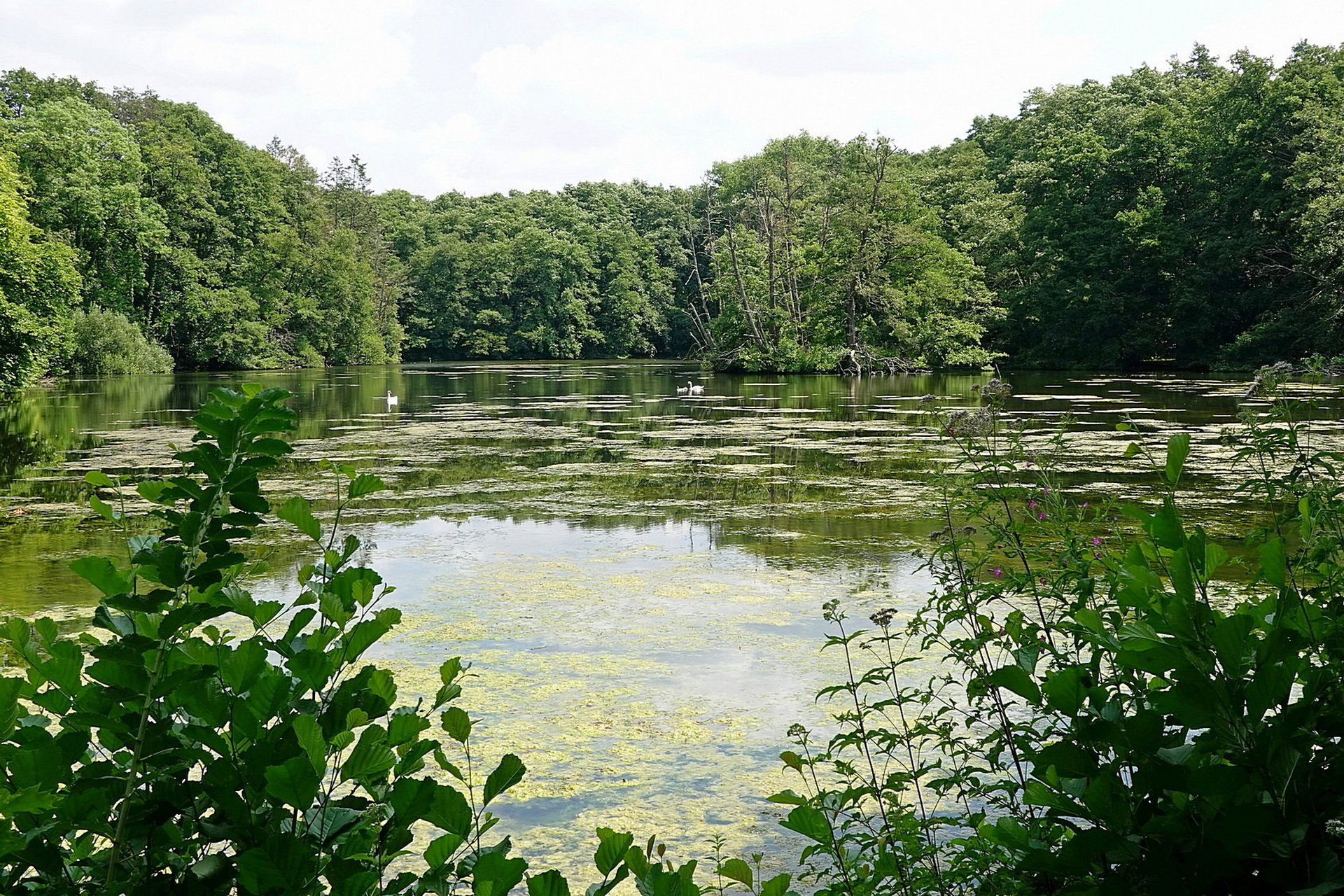 Still ruht der See