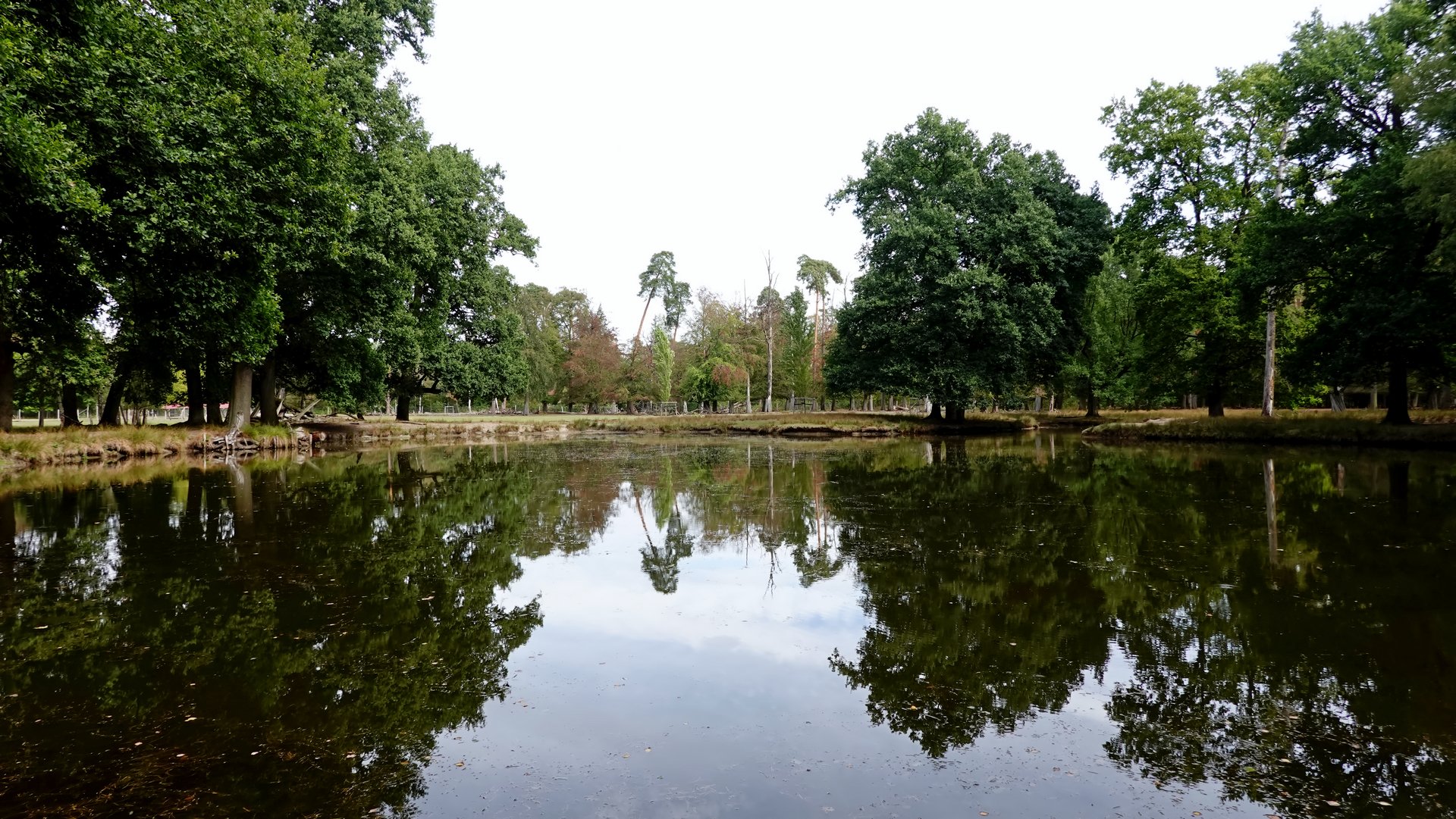 Still ruht der See