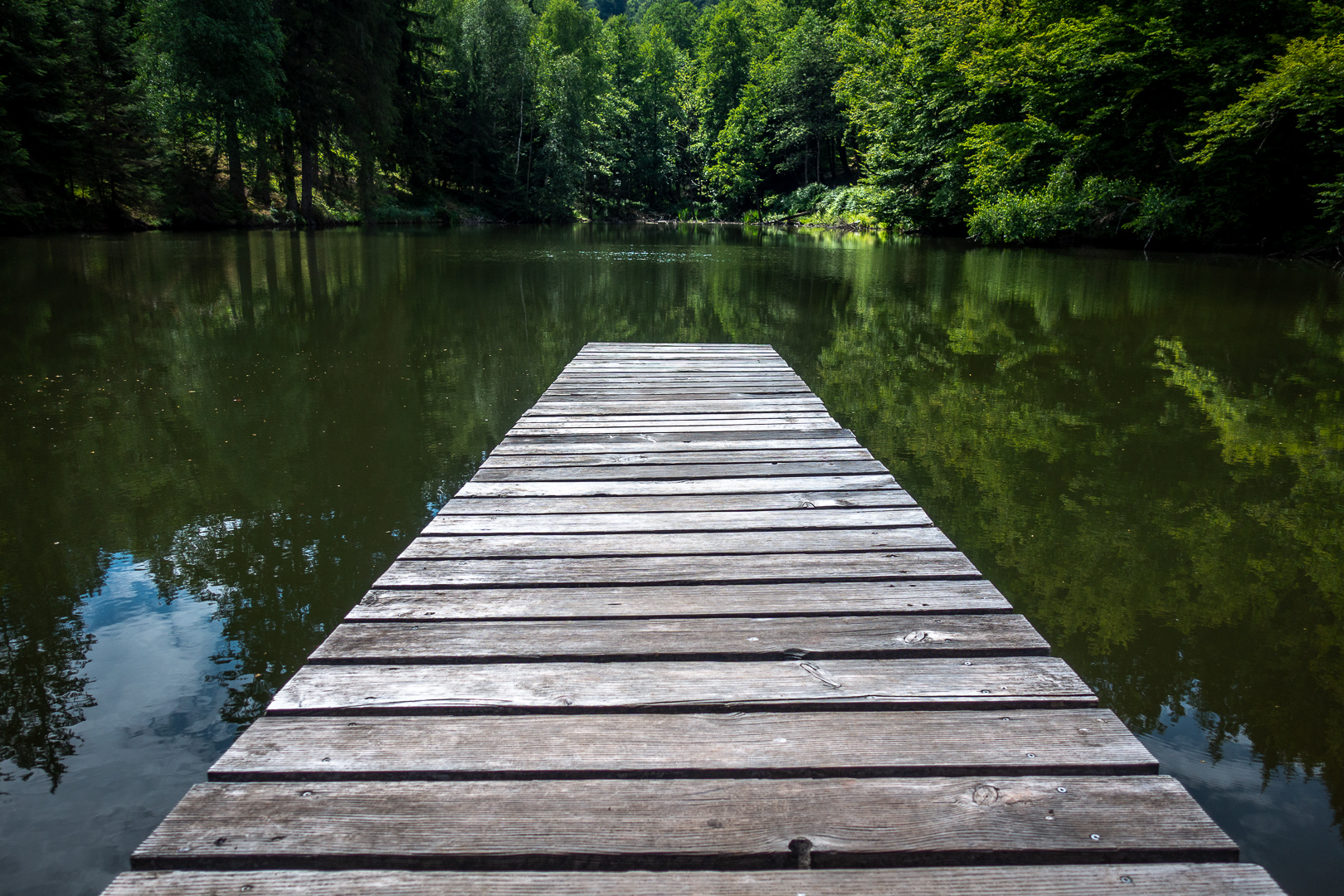 Still ruht der Waldsee in Farbe