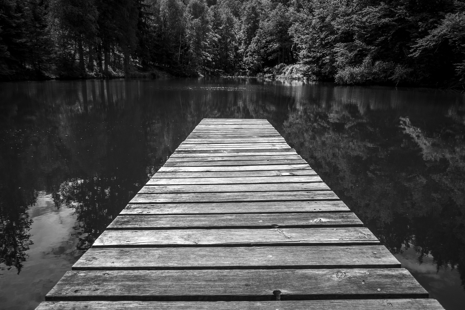 Still ruht der Waldsee