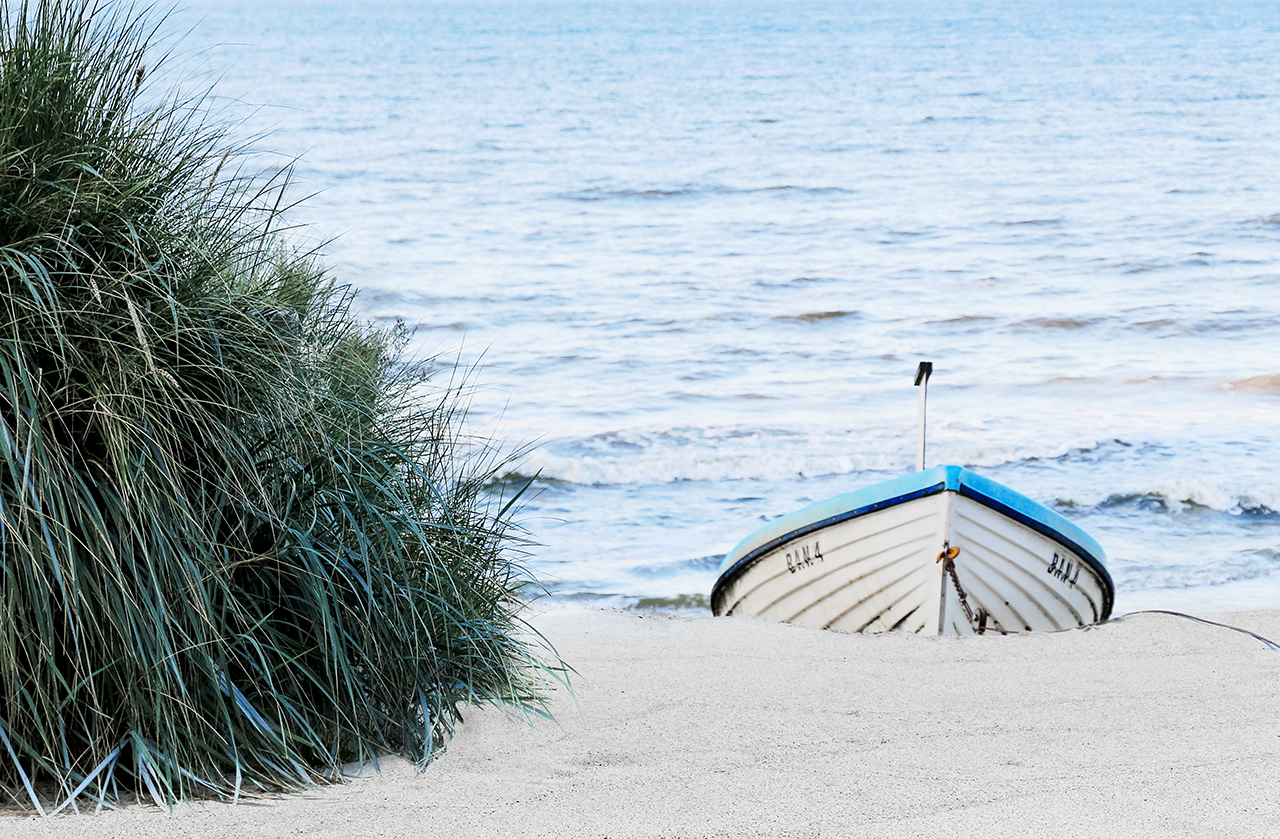 Strandgut