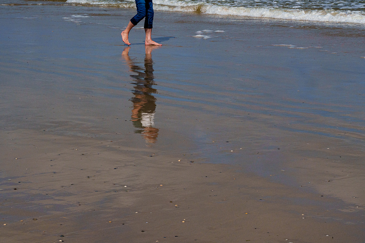 Strandläufer