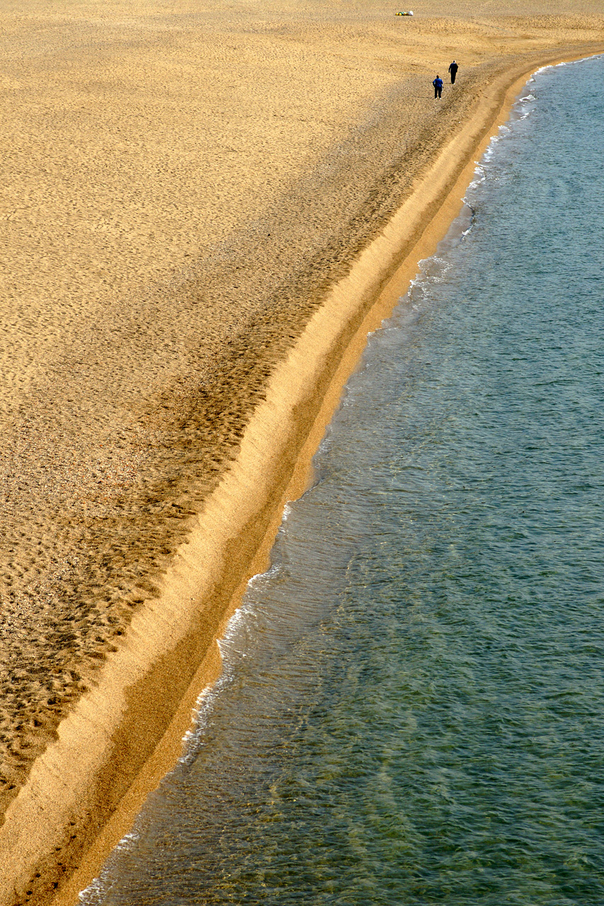 Strandläufer