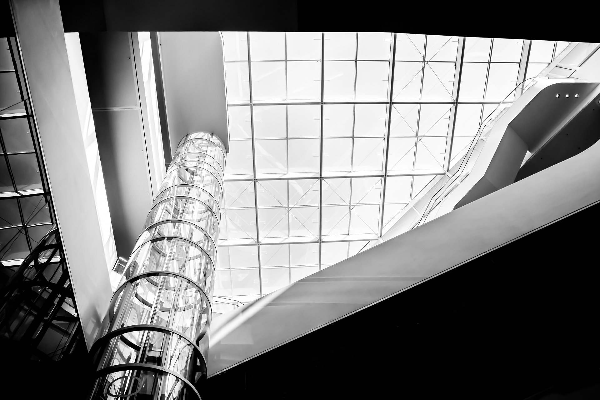 Streben nach Licht