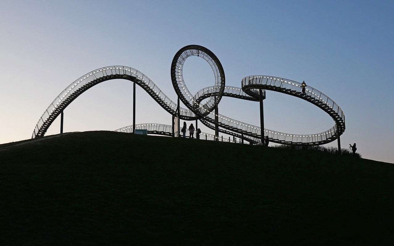 "Tiger and Turtle".jpg