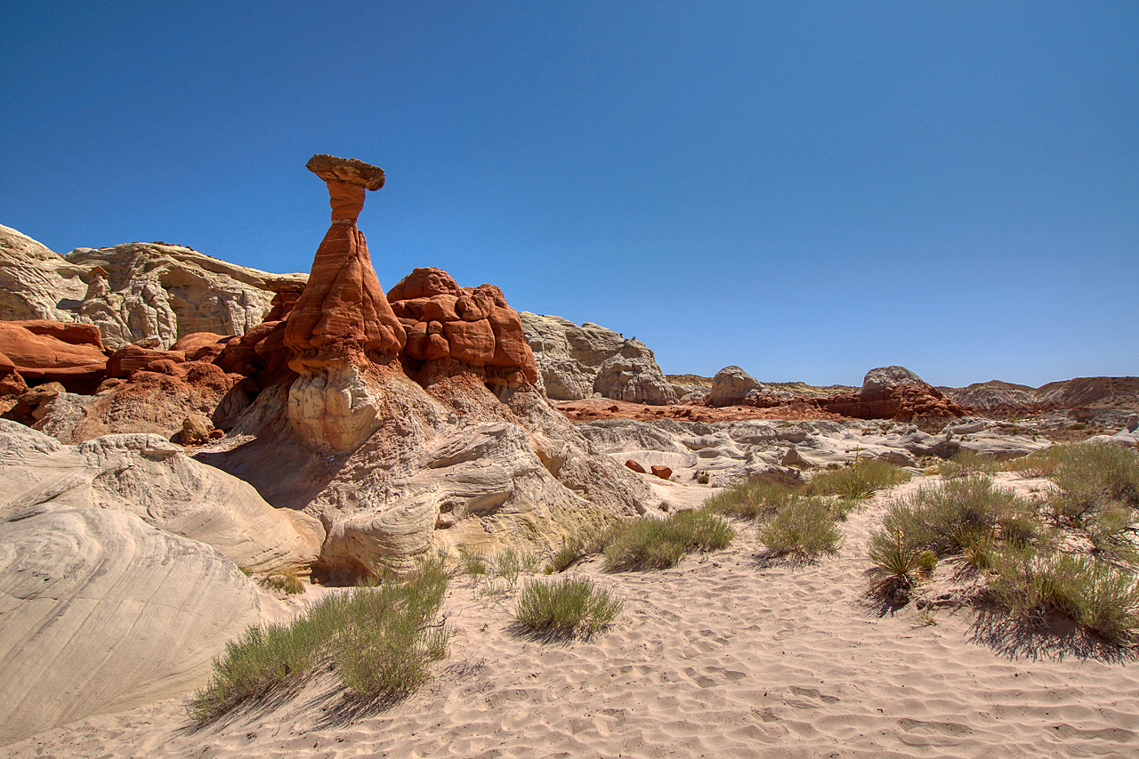 Toadstool Hoodoo