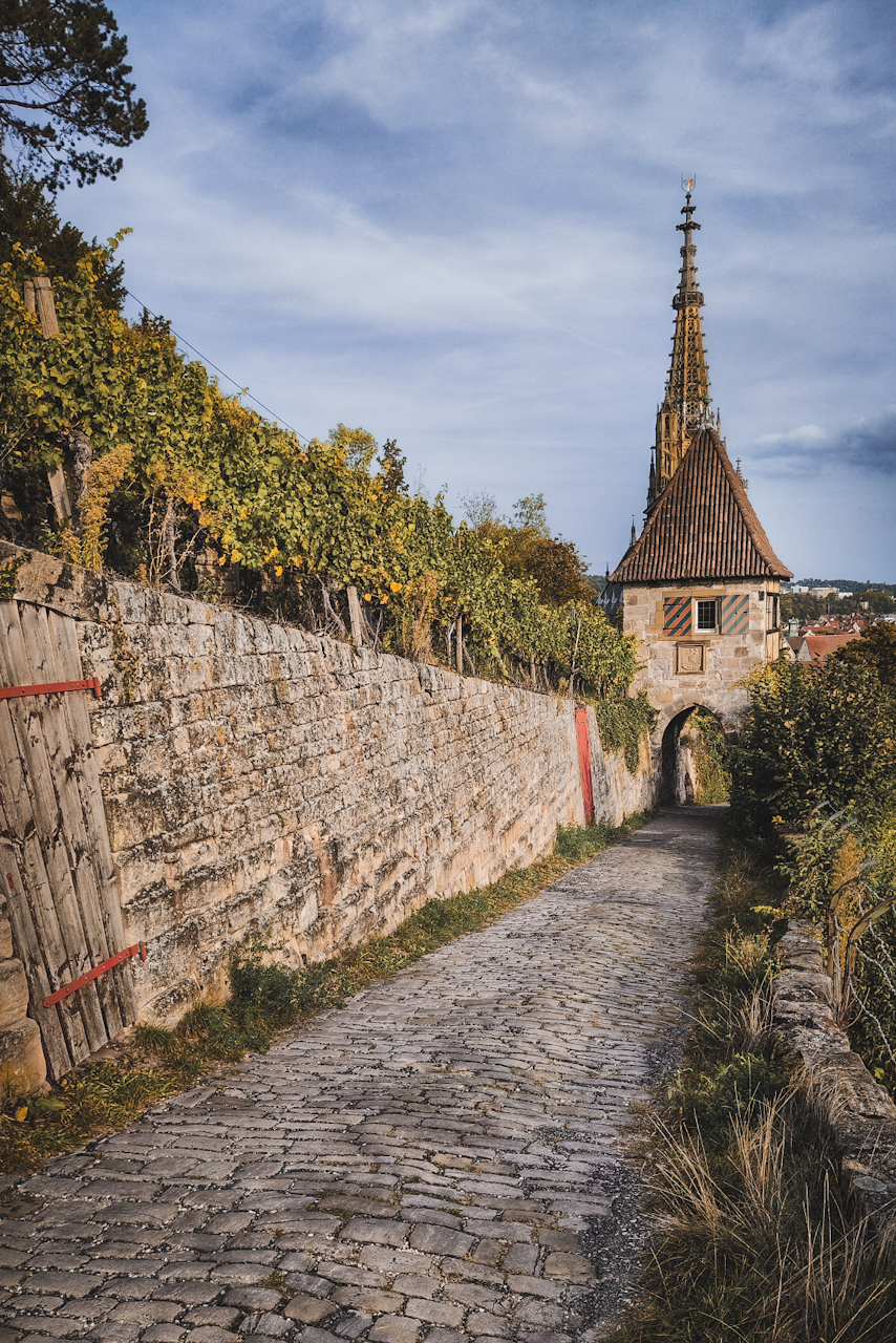 Tor zur Stadt