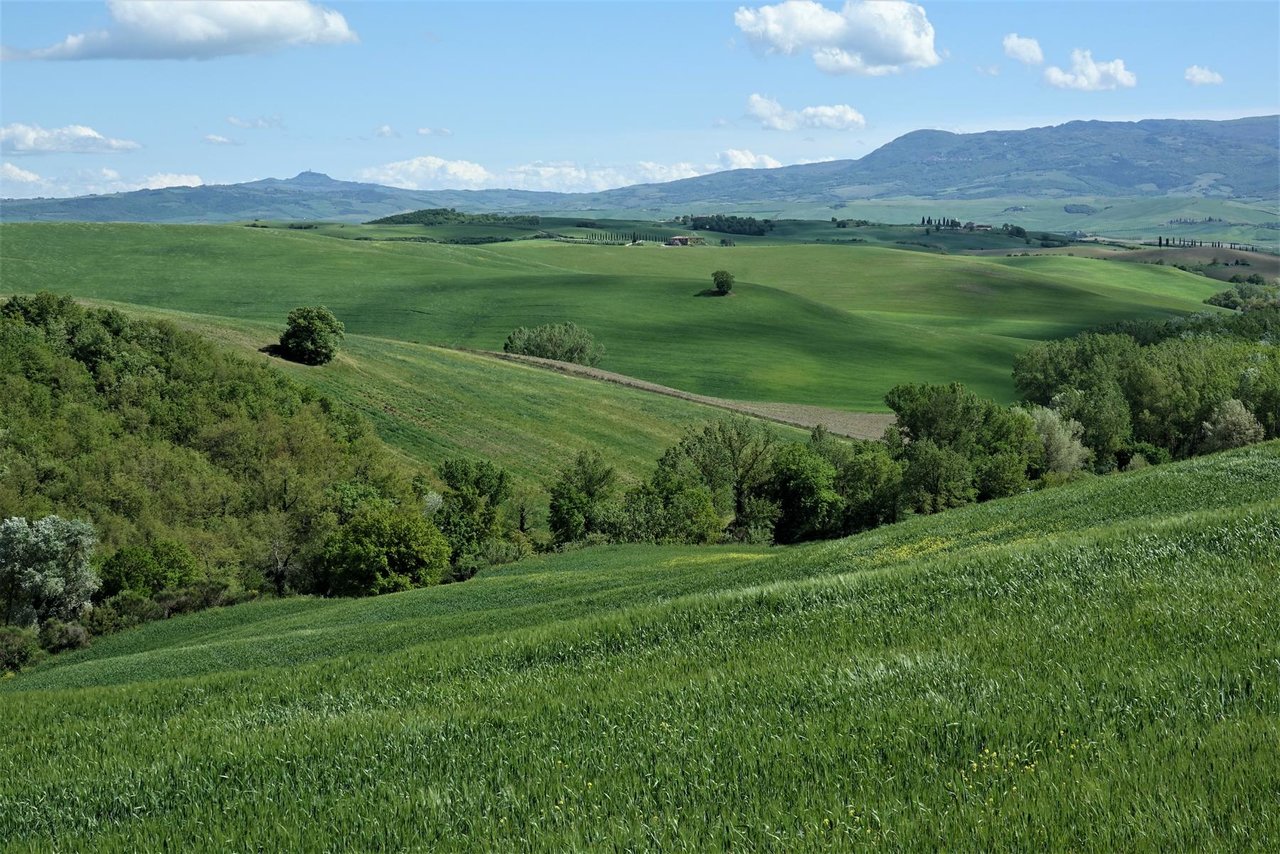 Toscanische Hügellandschaft.JPG
